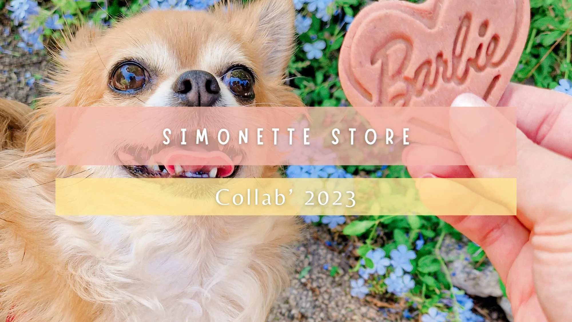 Simonette Store : biscuits pour chiens à Menton