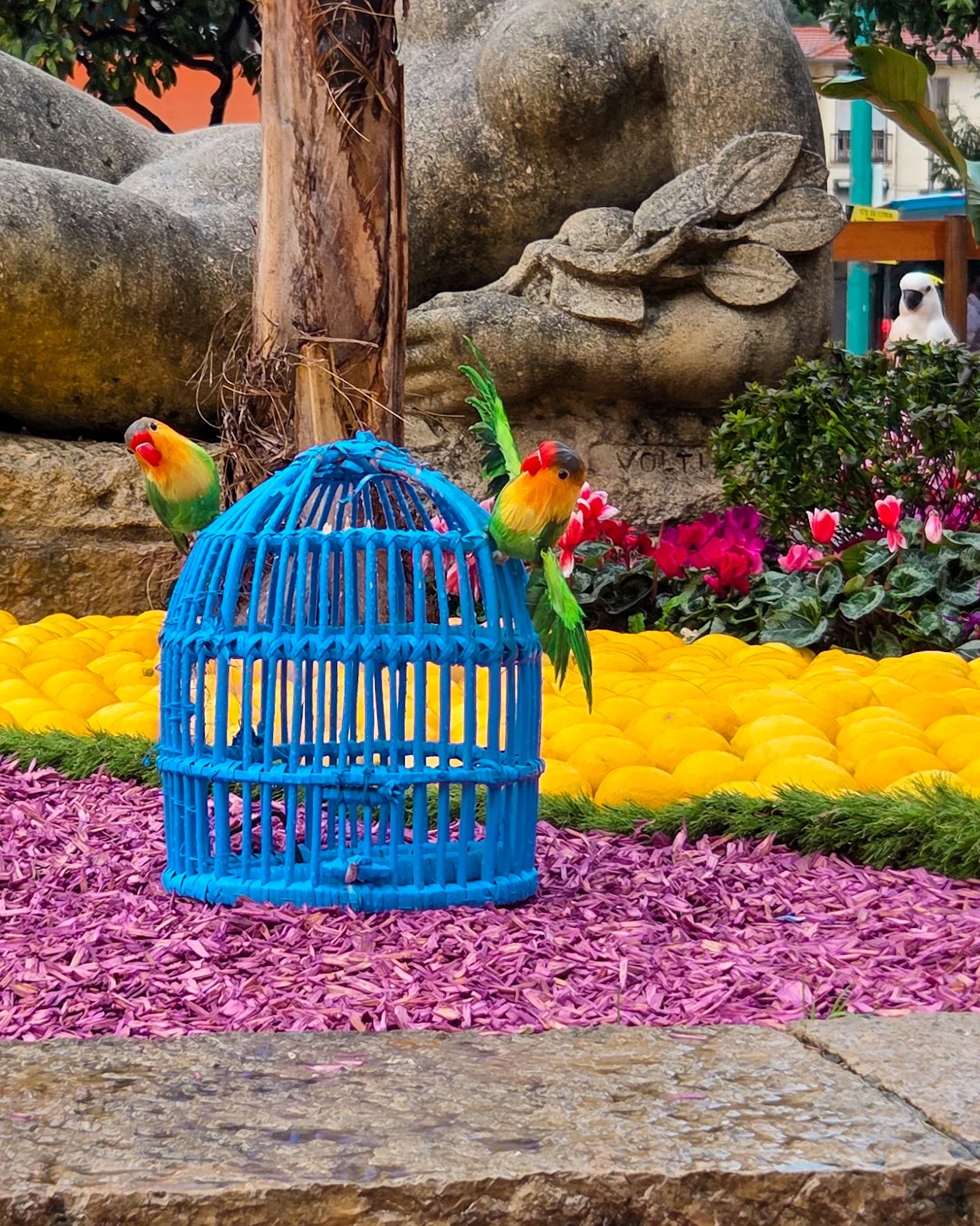 133.Fete du Citron 2026 - Merveilles du Vivant - Jardins-06.jpg