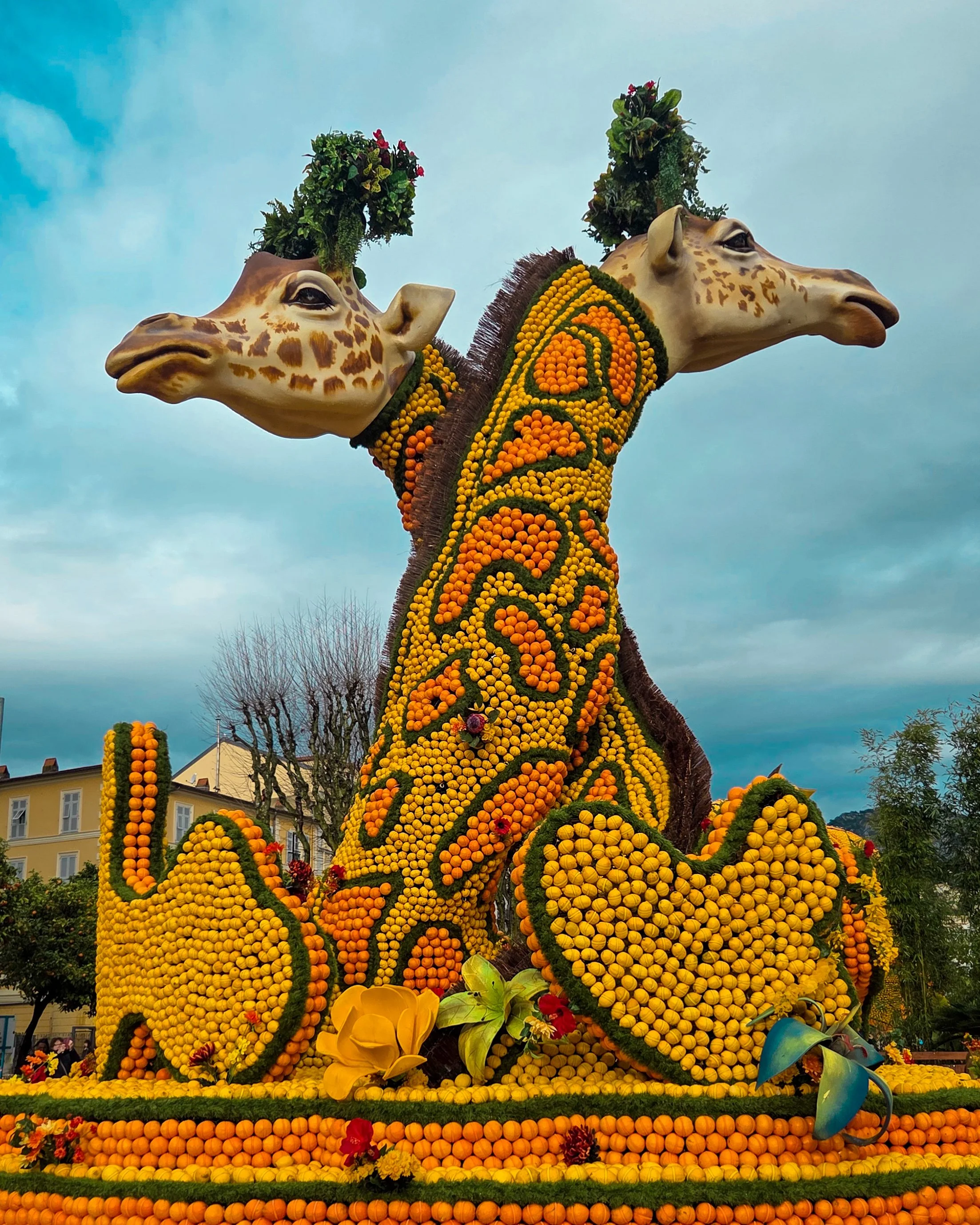 133.Fete du Citron 2026 - Merveilles du Vivant - Jardins-18.jpg