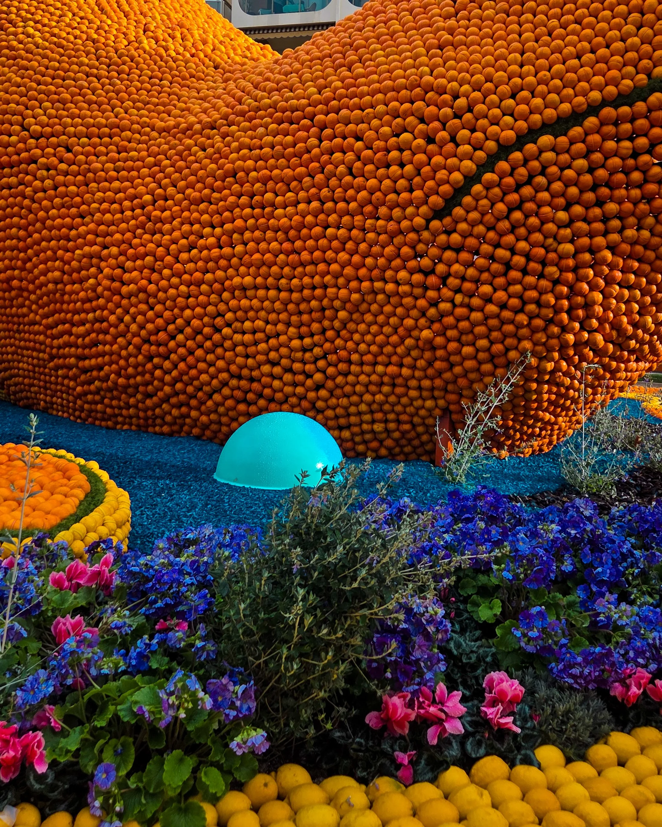 133.Fete du Citron 2026 - Merveilles du Vivant - Jardins-19.jpg