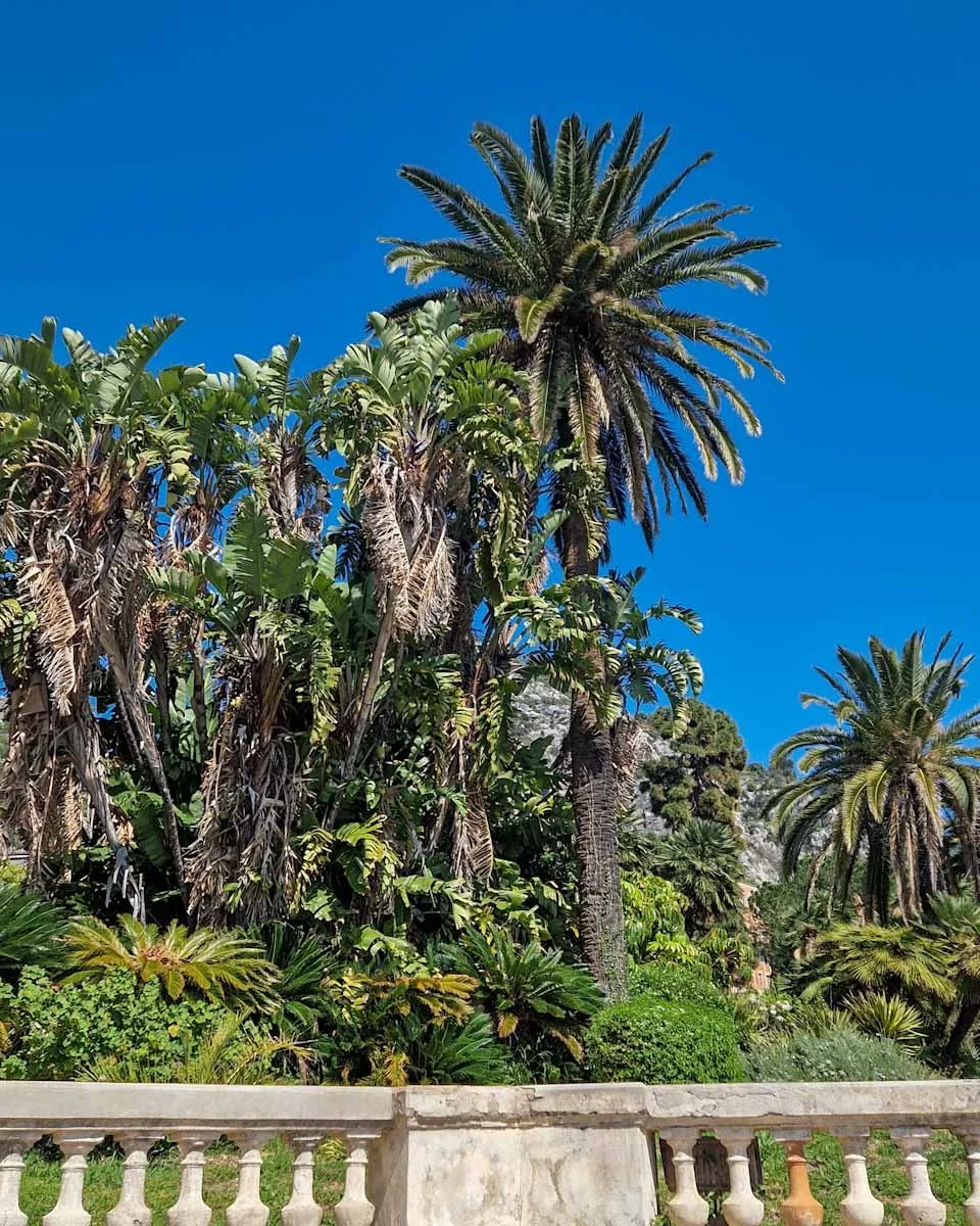159.Menton ville jardins-Maria Serena-10.jpg