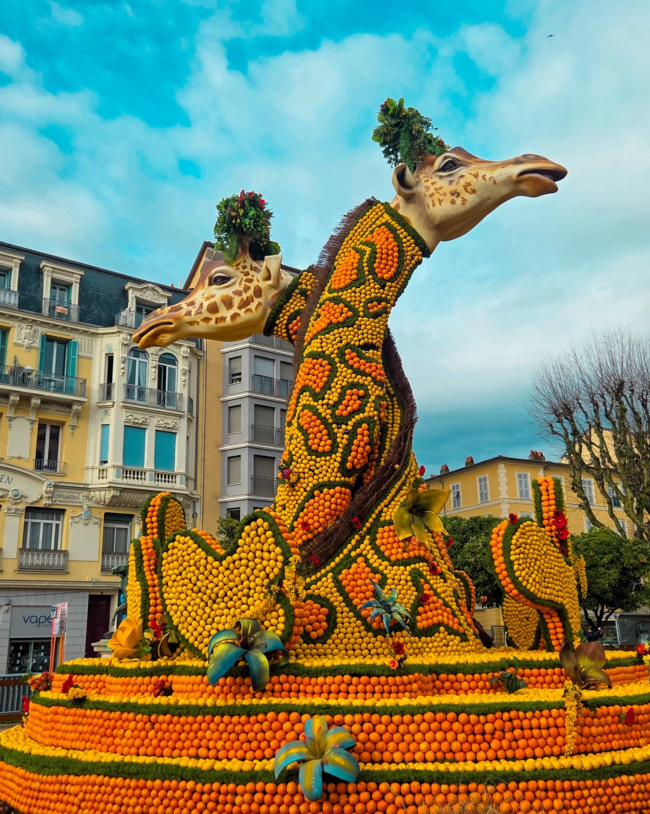 133.Fete du Citron 2026 - Merveilles du Vivant - Jardins-17.jpg