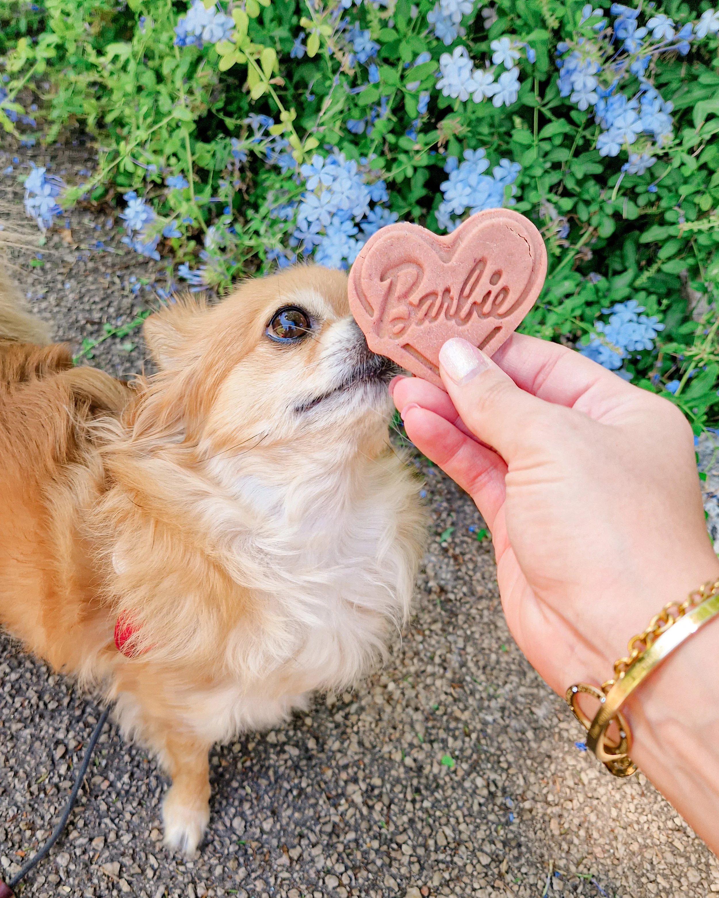 Simonette Store - post 2023 08 09 - 03.jpg