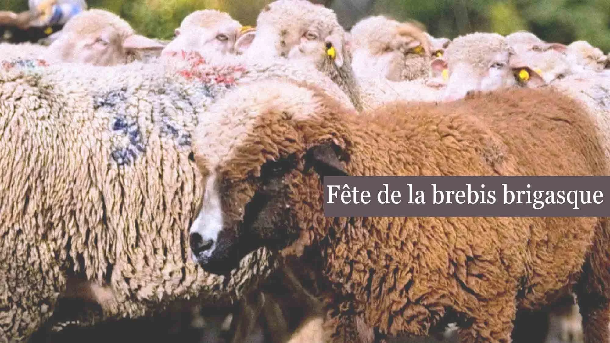 Une journée à La Brigue : la Fête de la Brebis Brigasque&nbsp;