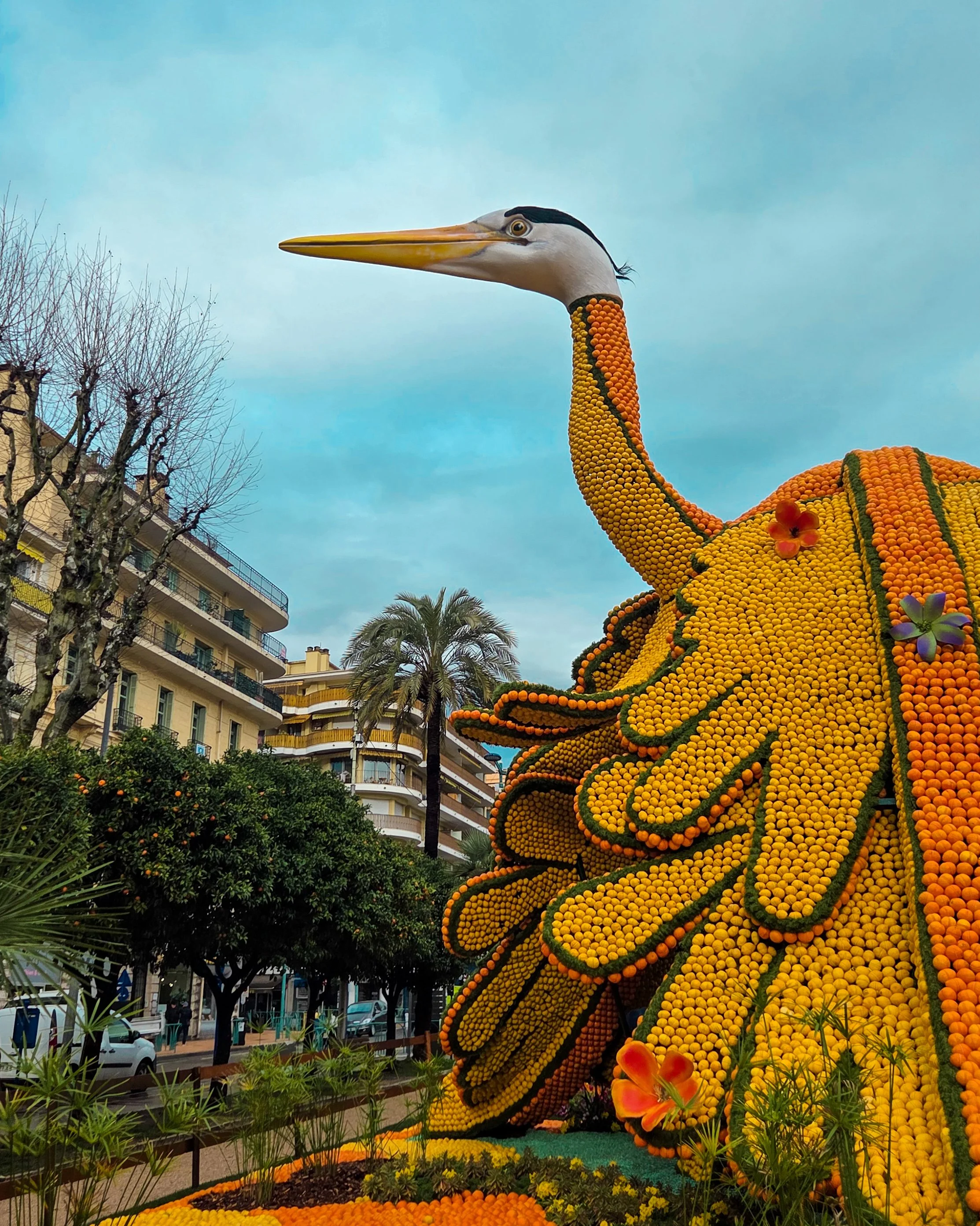 133.Fete du Citron 2026 - Merveilles du Vivant - Jardins-09.jpg