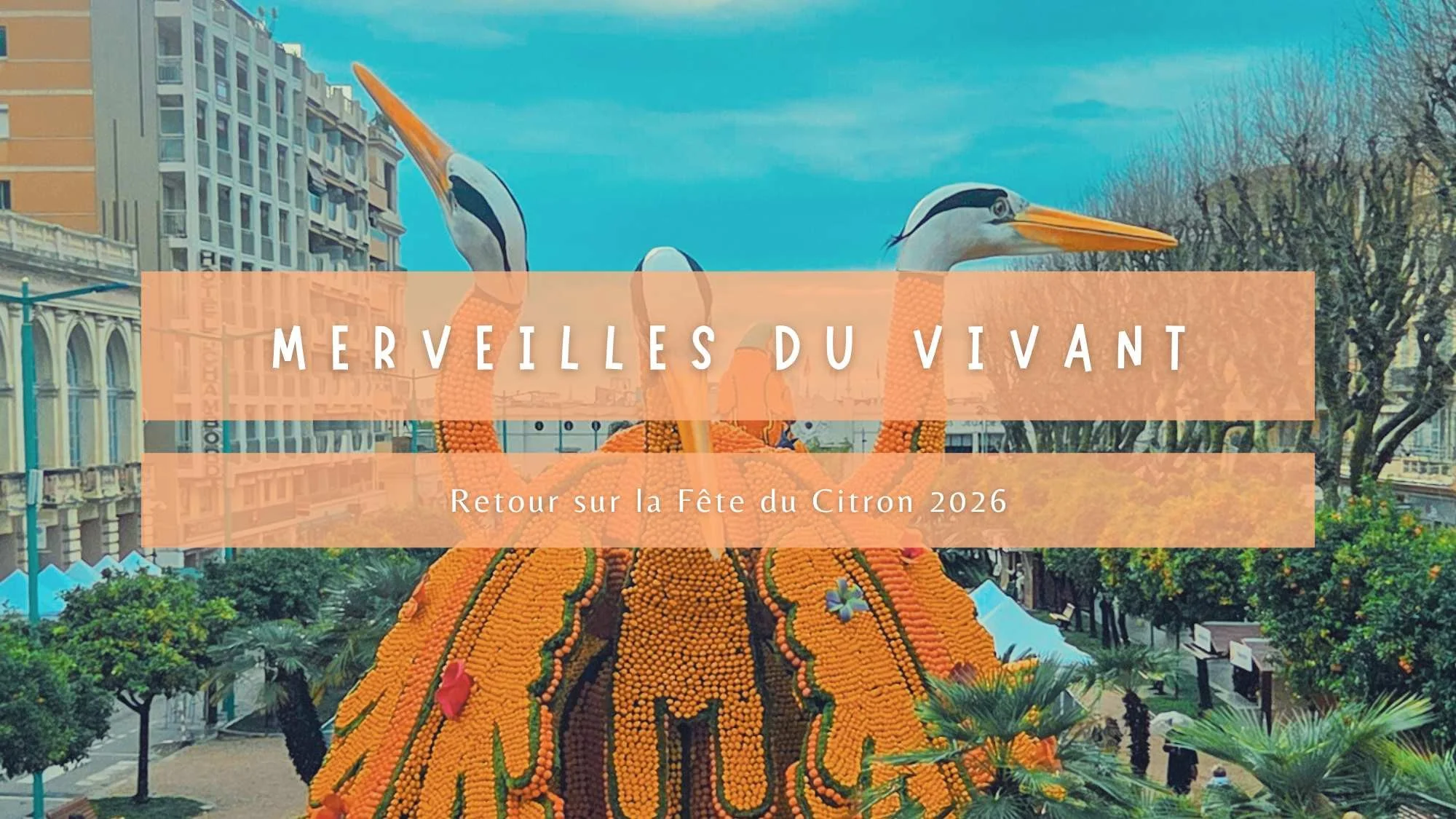92ème Fête du Citron à Menton – Merveilles du Vivant
