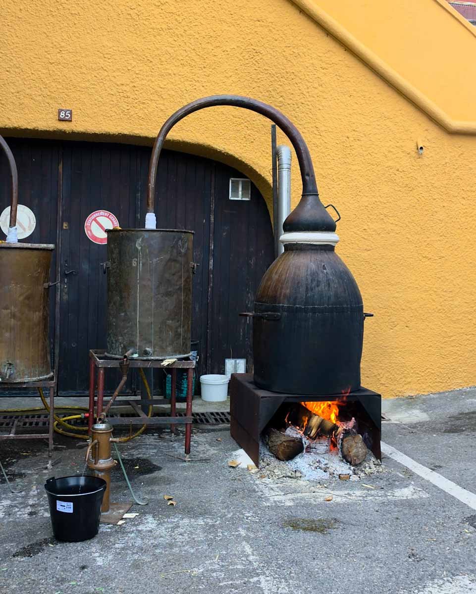 152.Fete de la lavande Ste Agnes-01.jpg
