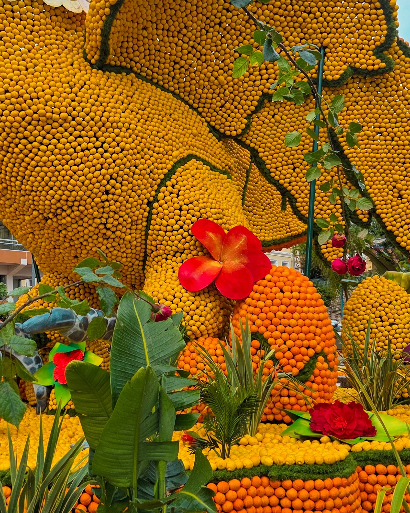 133.Fete du Citron 2026 - Merveilles du Vivant - Jardins-05.jpg