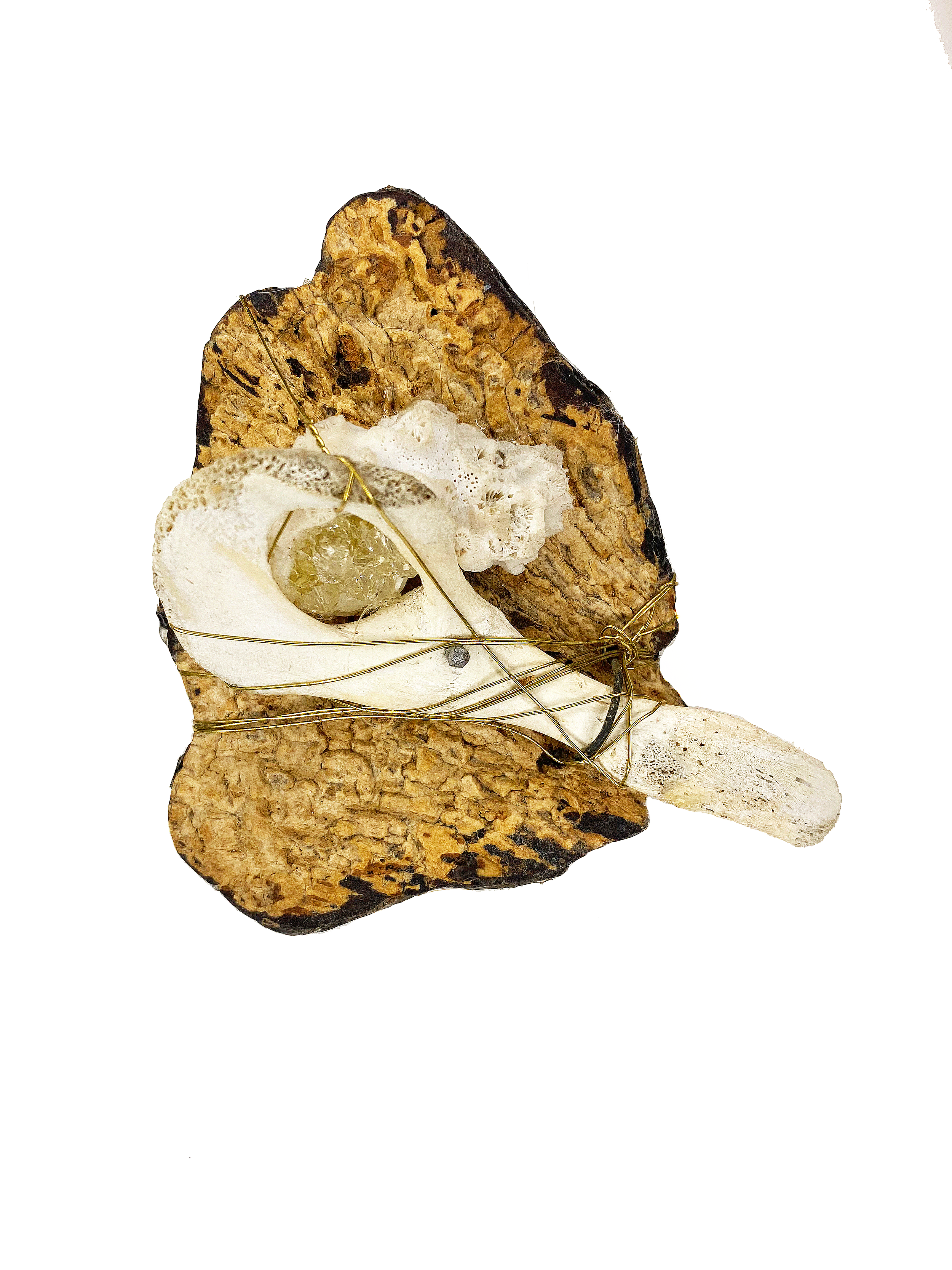 Bone Brooch