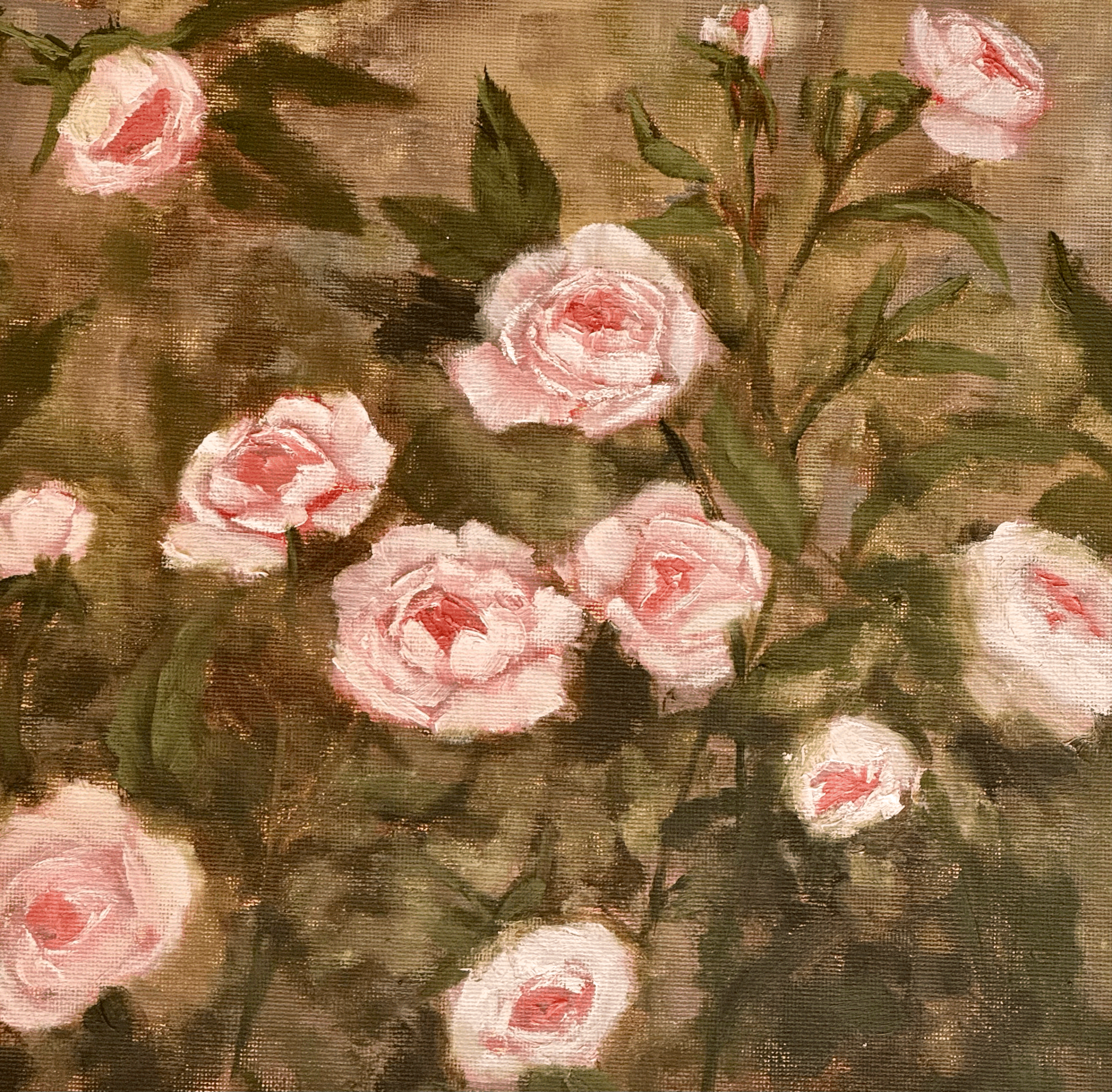 Rose Study #7