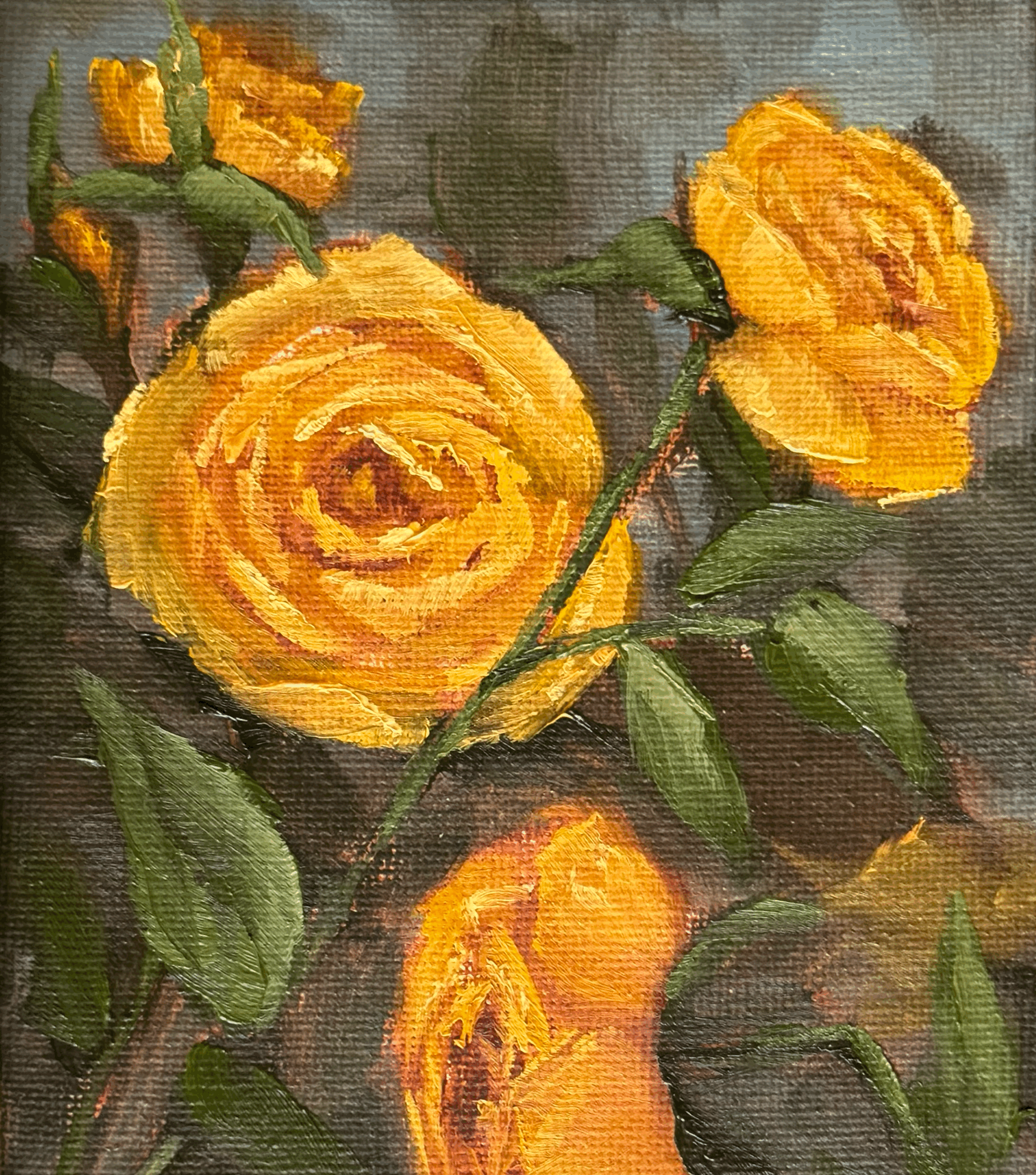 Rose Study #4