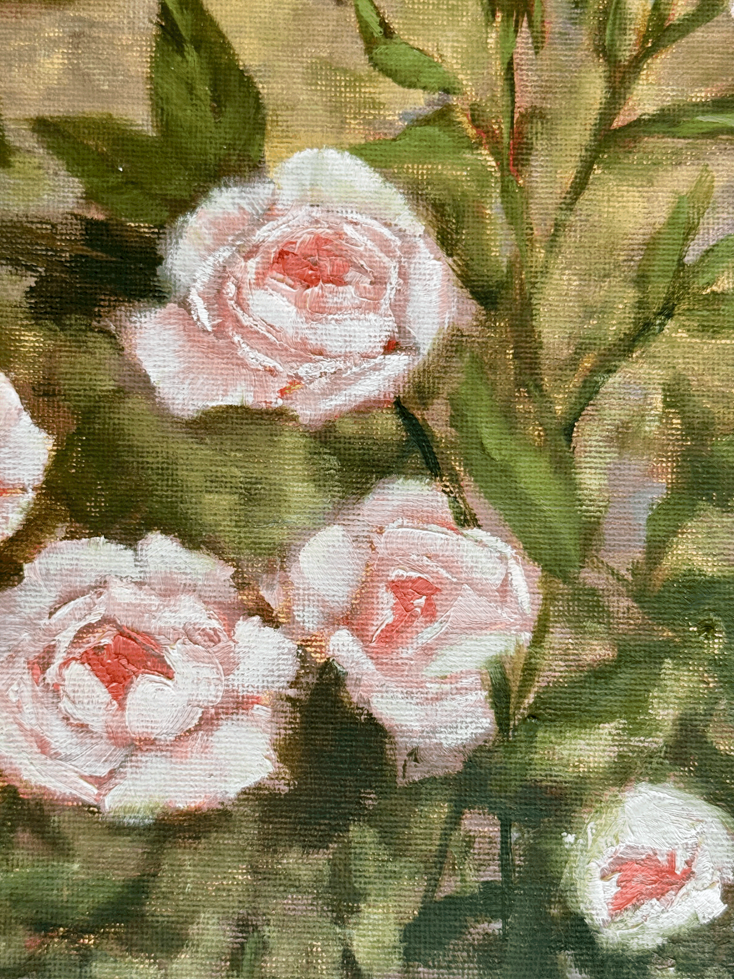 tempImageYA2yxj.gif