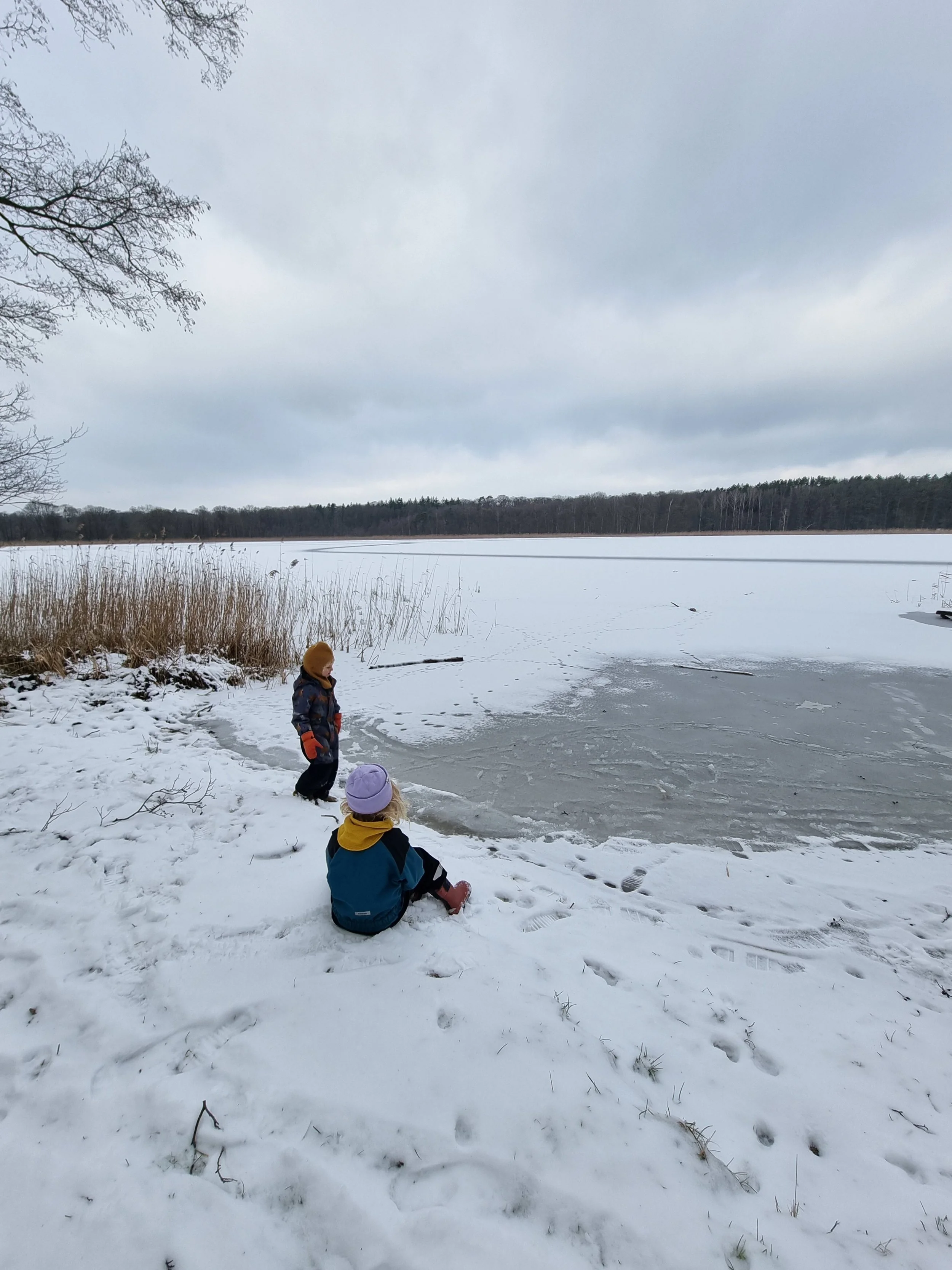 Strand im Winter