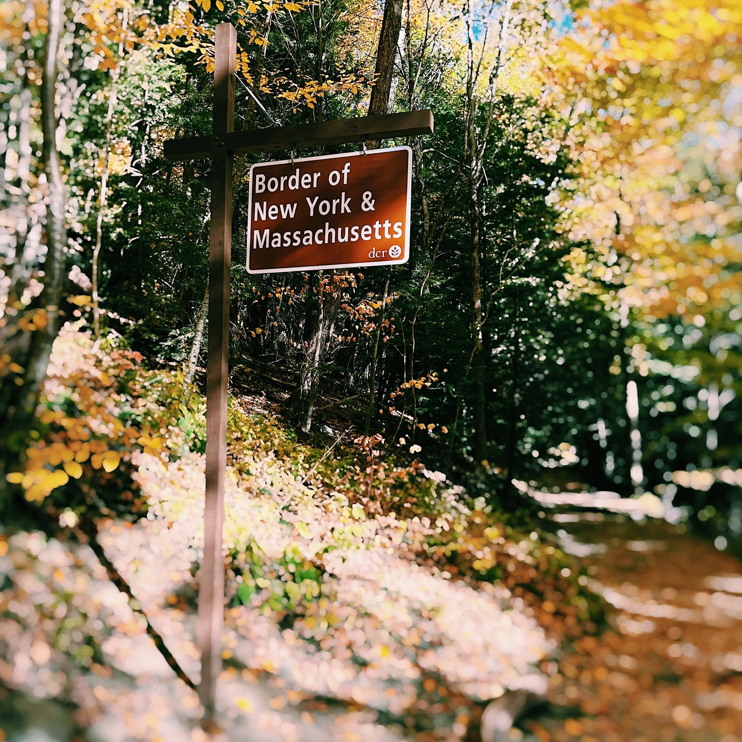 New YORK State of mind