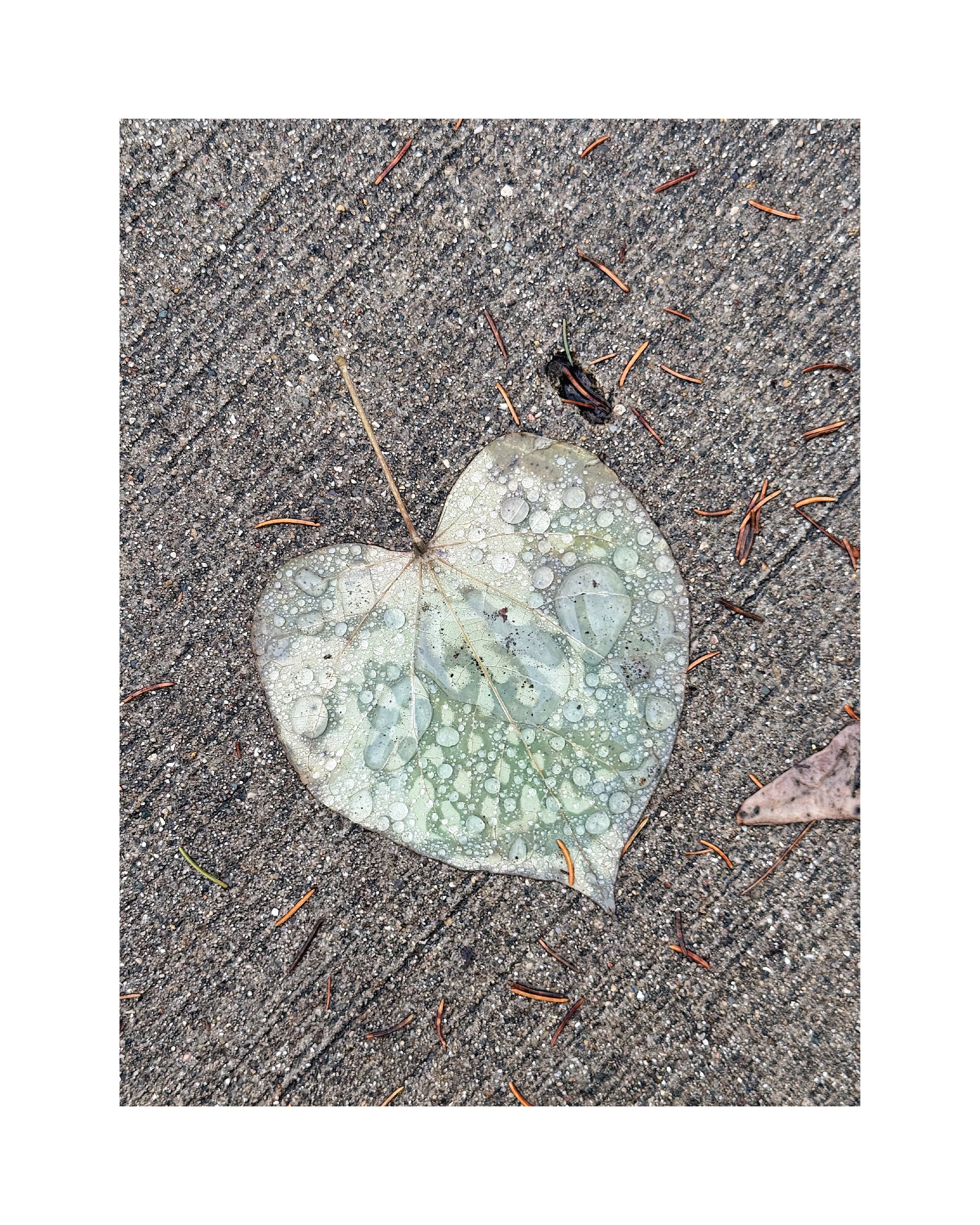 *  11 / 25 – 25 ::: _39°51'58" N 86°9'9" W