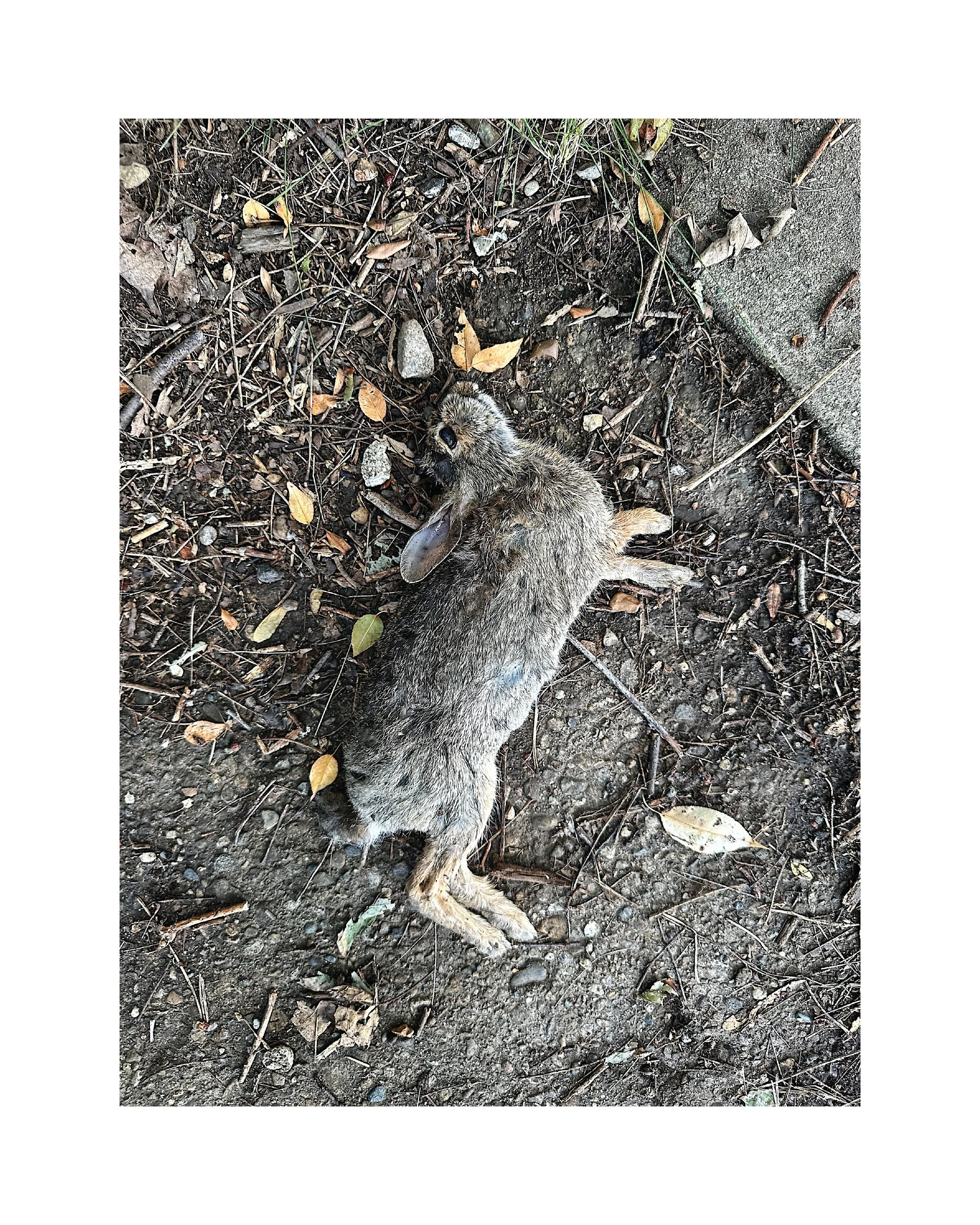 *  7 / 15 – 23 ::: _39°52'19" N 86°9'7" W :::