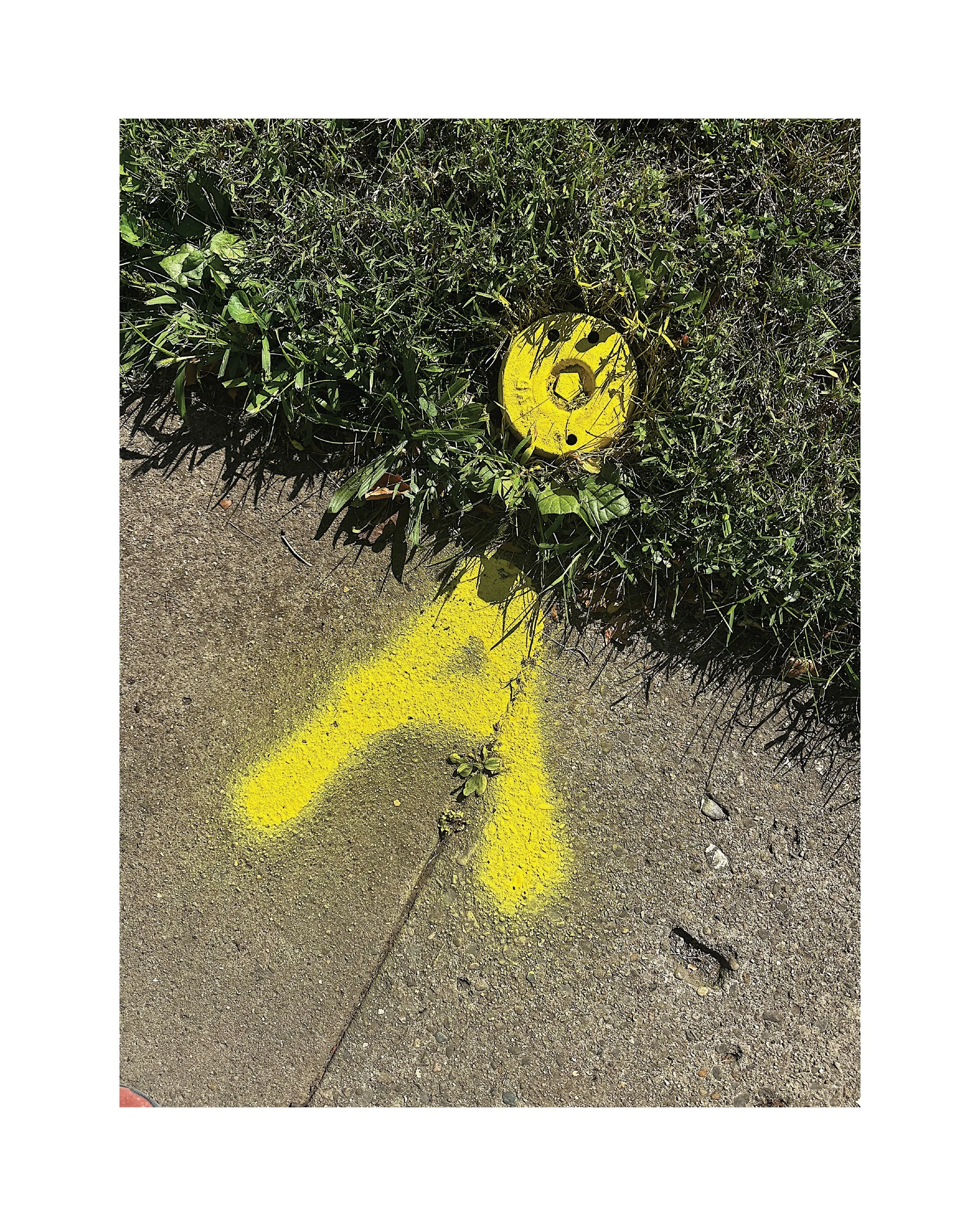 *  8 / 10 – 24 ::: _39°52'17" N 86°9'2" W :::