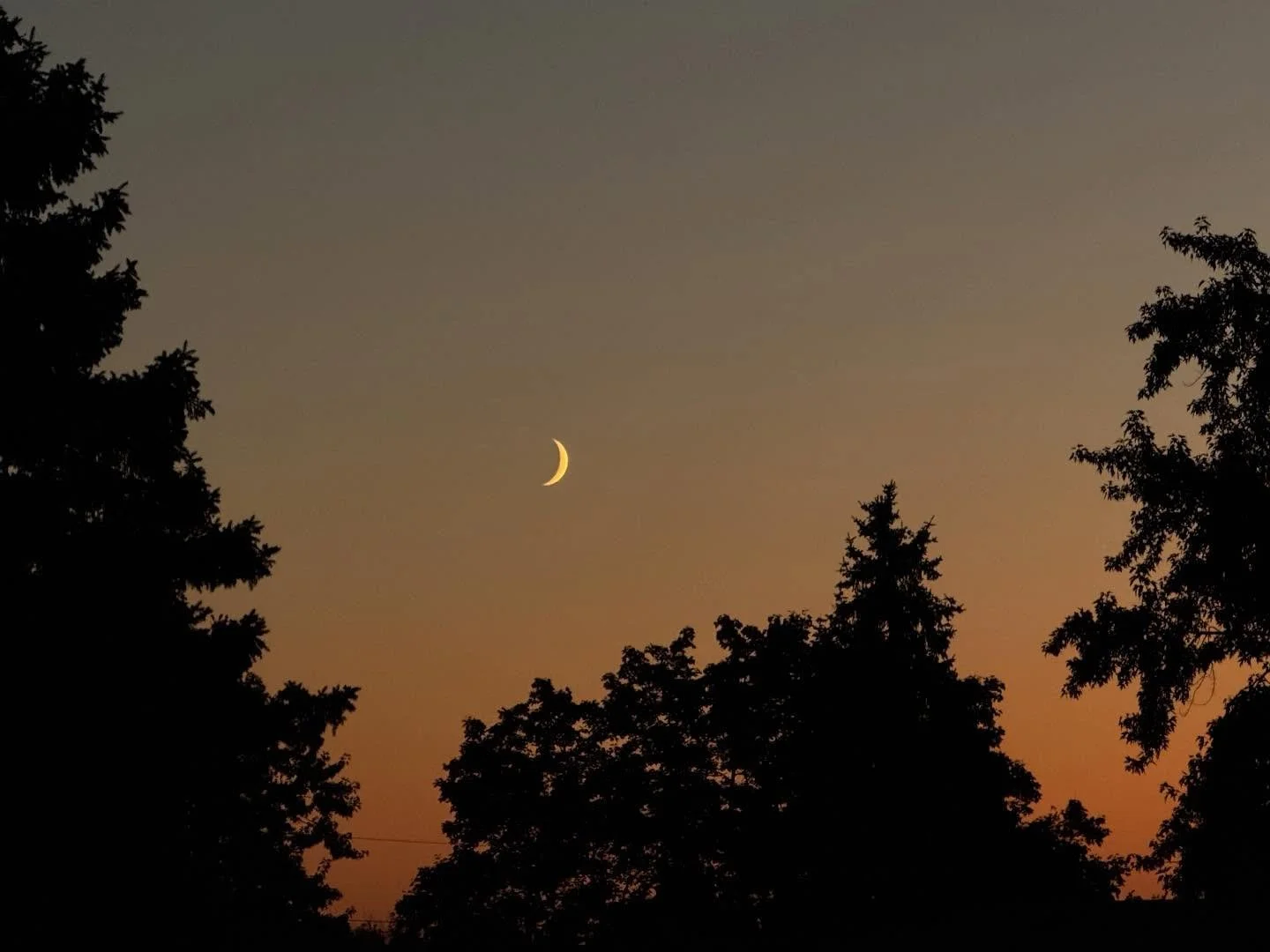 Taken from my iphone last night.

Somehow staring at the moon never gets old.

It&rsquo;s forever a good reminder that no matter what&rsquo;s happening in your internal or external world, moments of peace are always available to you; even if it&rsquo