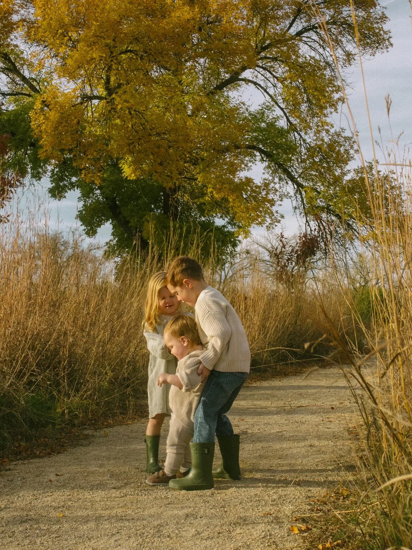 Oh hi! It&rsquo;s been a while hasn&rsquo;t it?

I&rsquo;ve been in a season where I&rsquo;ve had zero drive to post anything. I hit a wall anytime I try to think about what to share here. I freeze.

Is it the natural cycle of the creative journey? I