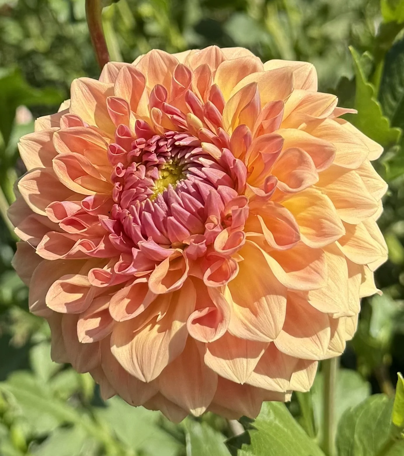 RM October Skies  (Limit 1)