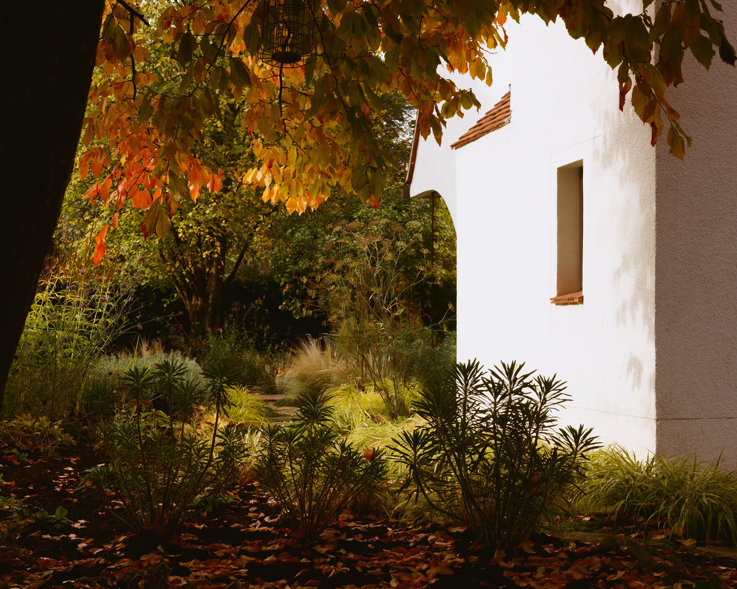 RuralOffice_06_MiddleAvenue_reduced.jpg