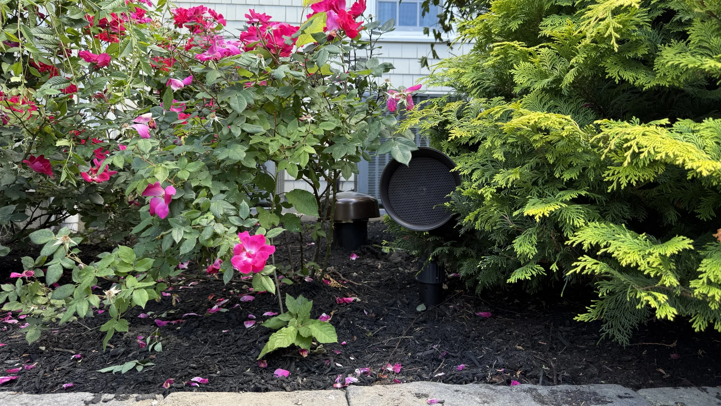 OriginAcoustics landscape audio system. Norwell, MA