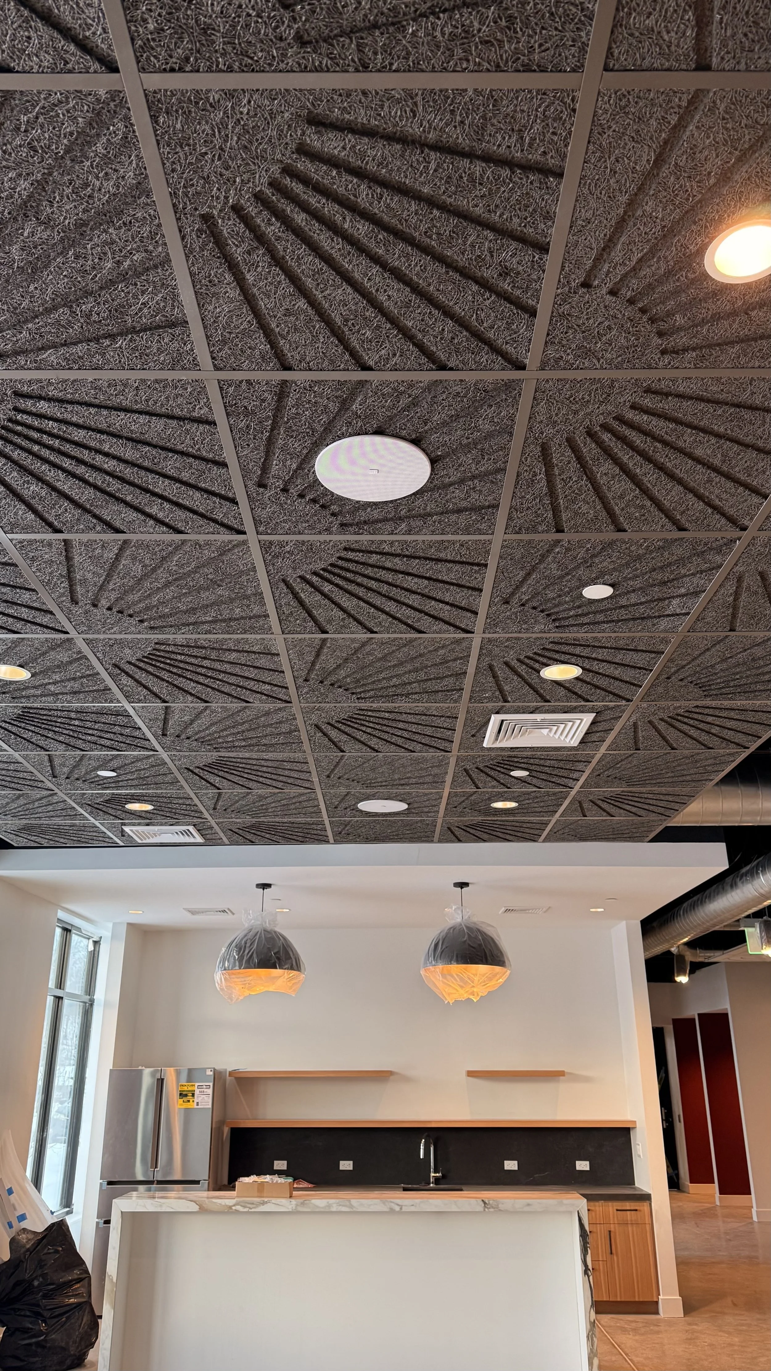 OriginAcoustics professional in-ceiling speaker