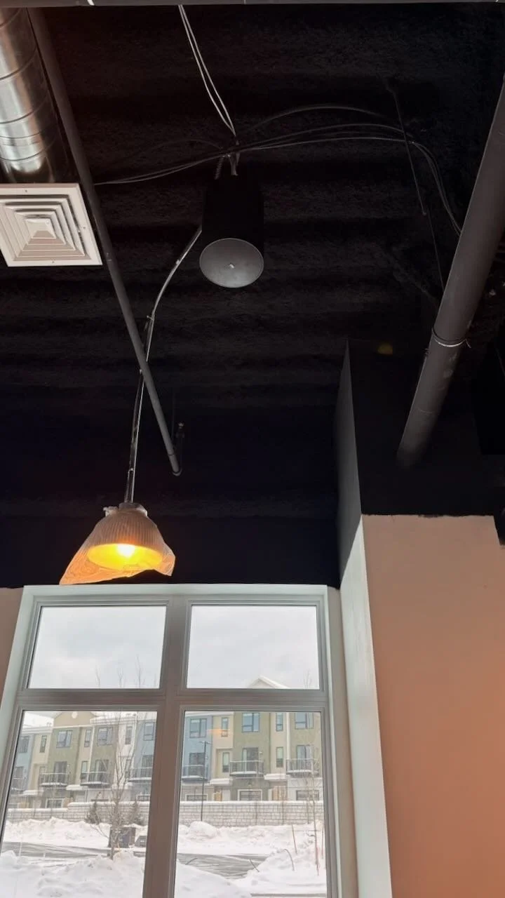 OriginAcoustics professional pendant speaker