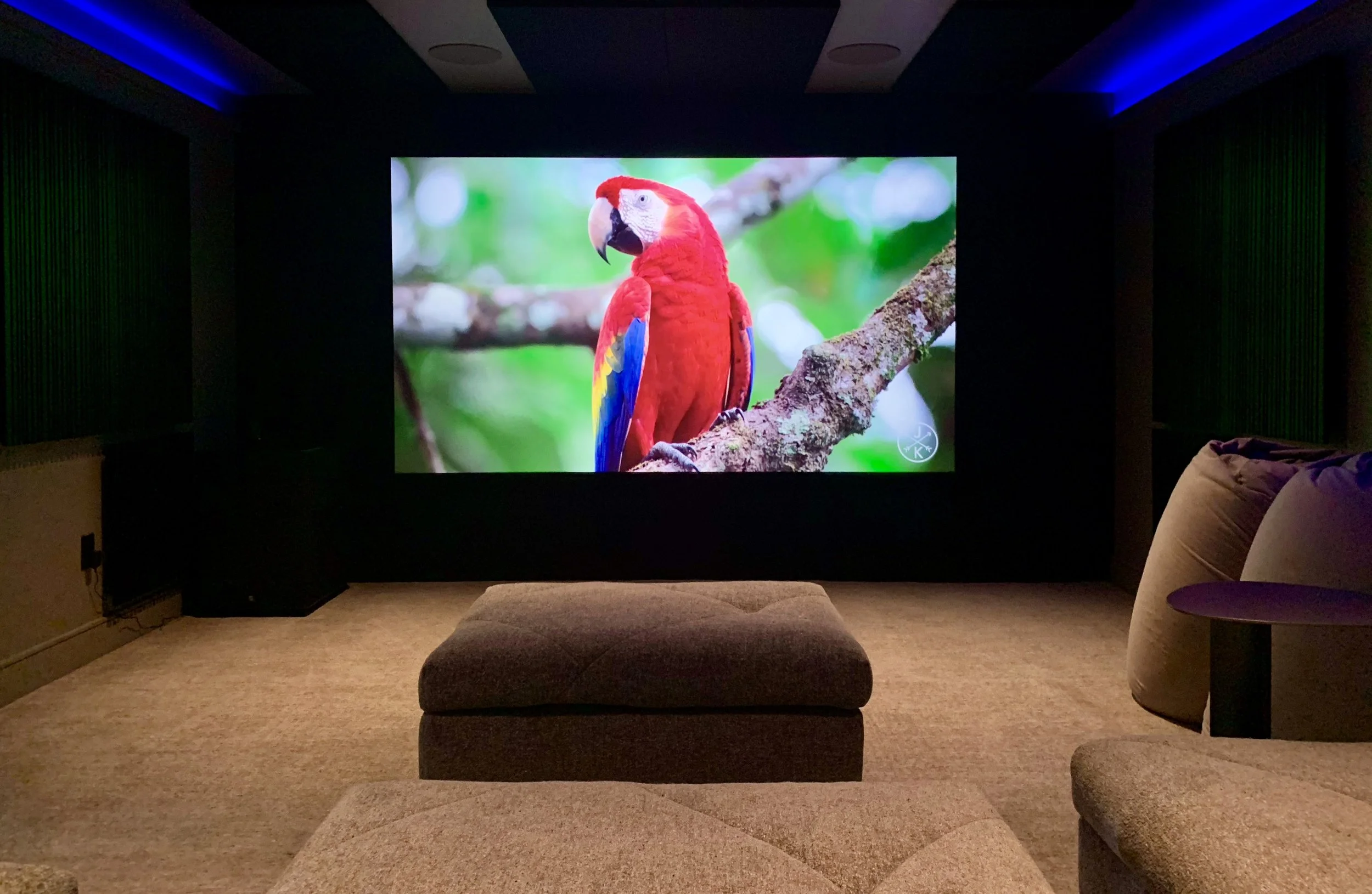 Home theater with a large screen displaying a colorful parrot on a branch, surrounded by dark walls, cushioned seating, and ambient blue and green lighting.
