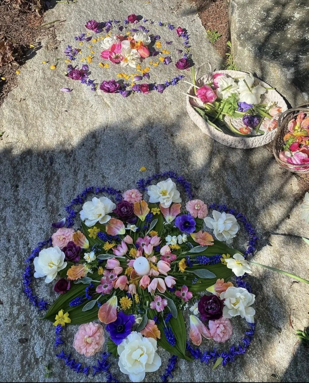 It's a busy week here at Anderson Acres! Lots of orders from @connecticutflowercollective plus our own farm orders and store prep!! But we can't forget to stop and *create beautiful mandalas* with flowers along the way!! This mandala was created by o