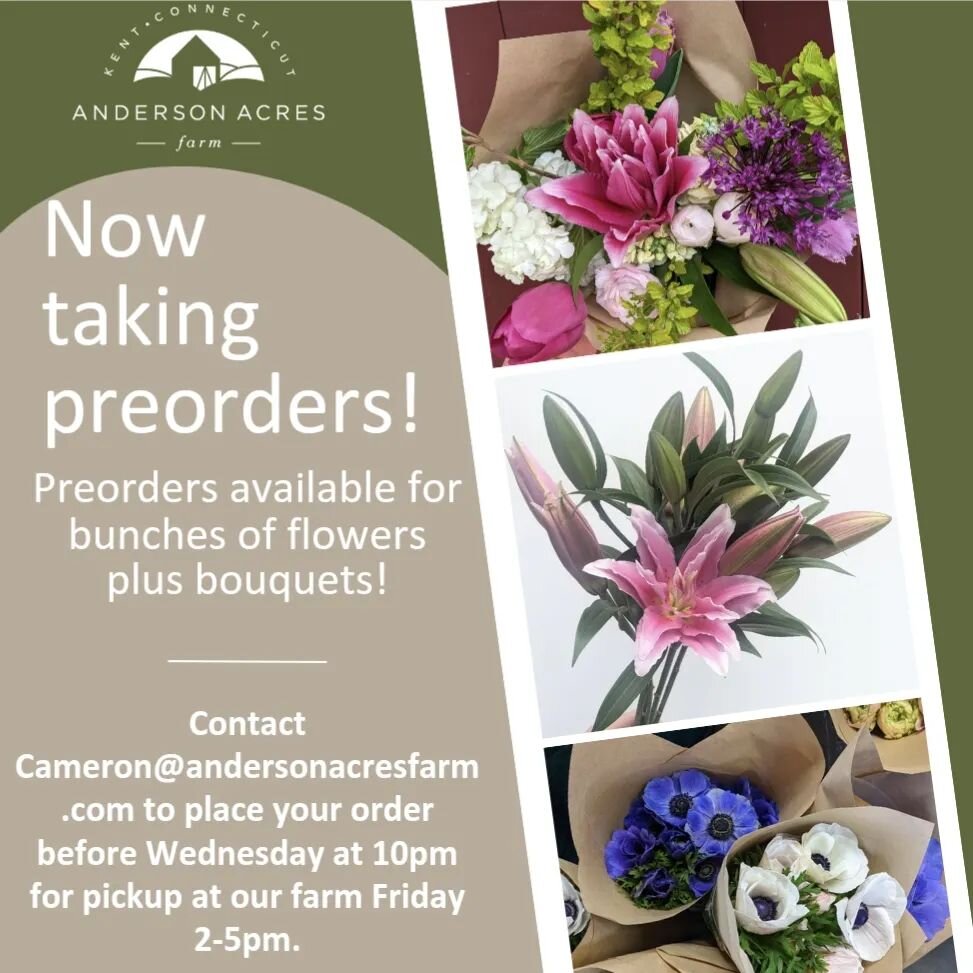 ✨Preorders available✨Contact Cameron@andersonacresfarm.com to place your order and for more details!
&bull;
&bull;
&bull;
&bull;
#flowerfarm #flowerfarming #farming #farm #organicpractice #wedigflowers #kentct #litchfieldcounty #flowers #localflowers