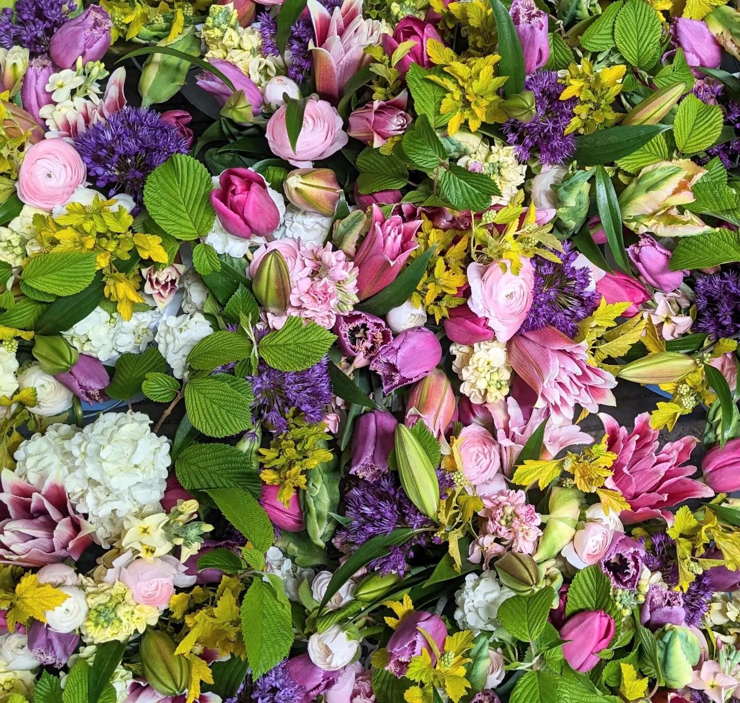 This week's bouquets in mass! 😍 If you are interested in snagging some bouquets or bunches of flowers join us at our store tomorrow, Thursday May 18th ✨OR✨ we are taking pre-orders for pickup on Friday 2-5pm! Please have your pre-order in before 10p