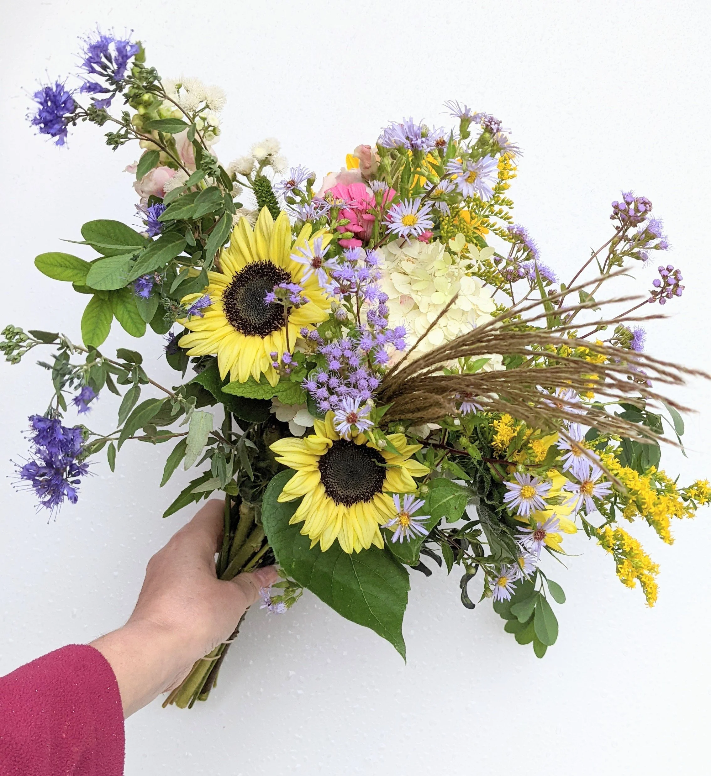 Subscription fall 2.jpg