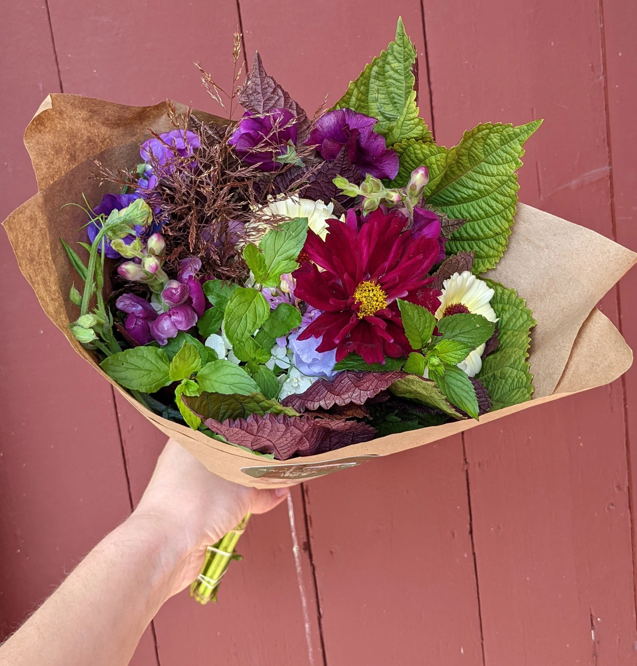 Subscription Summer 5.jpg