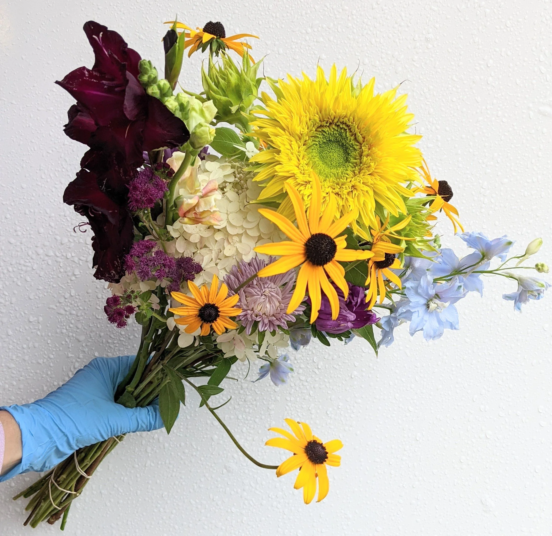 Subscription fall 7.jpg