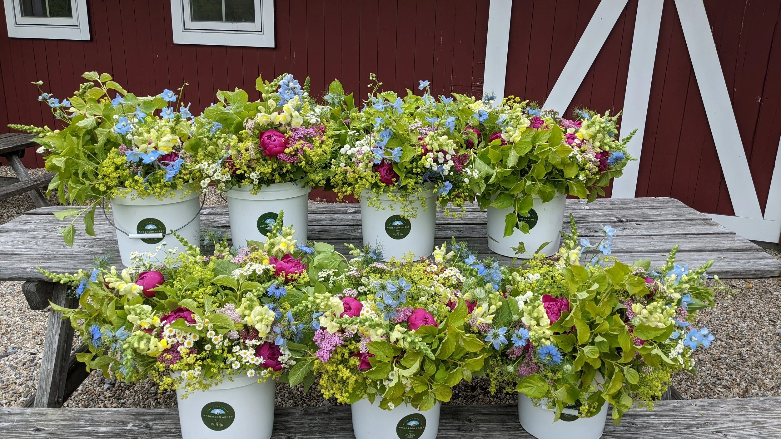 Subscription Summer 4.jpg