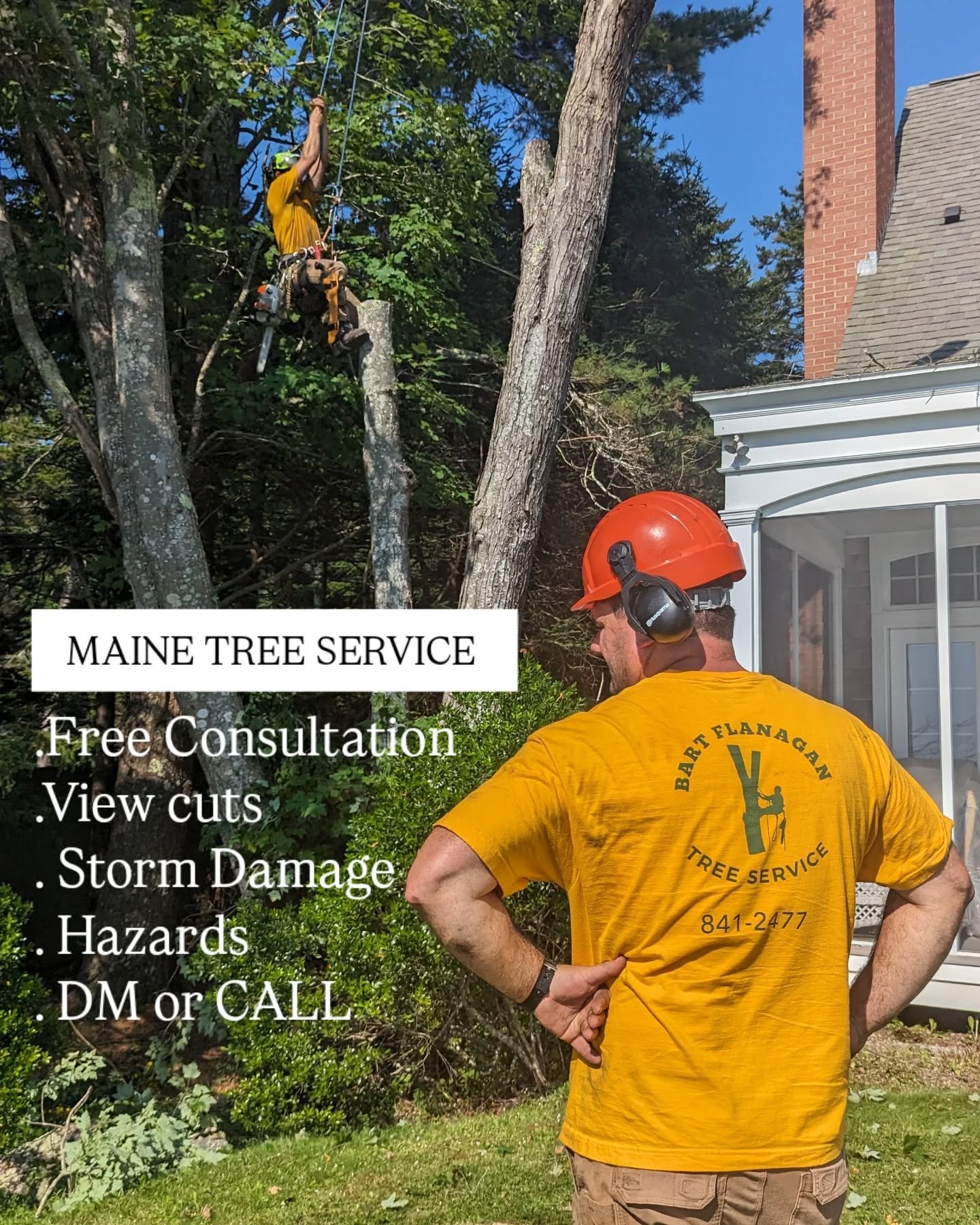 Summer is coming. Give us a call! 

#maine #treeremoval #treecutting #arborist