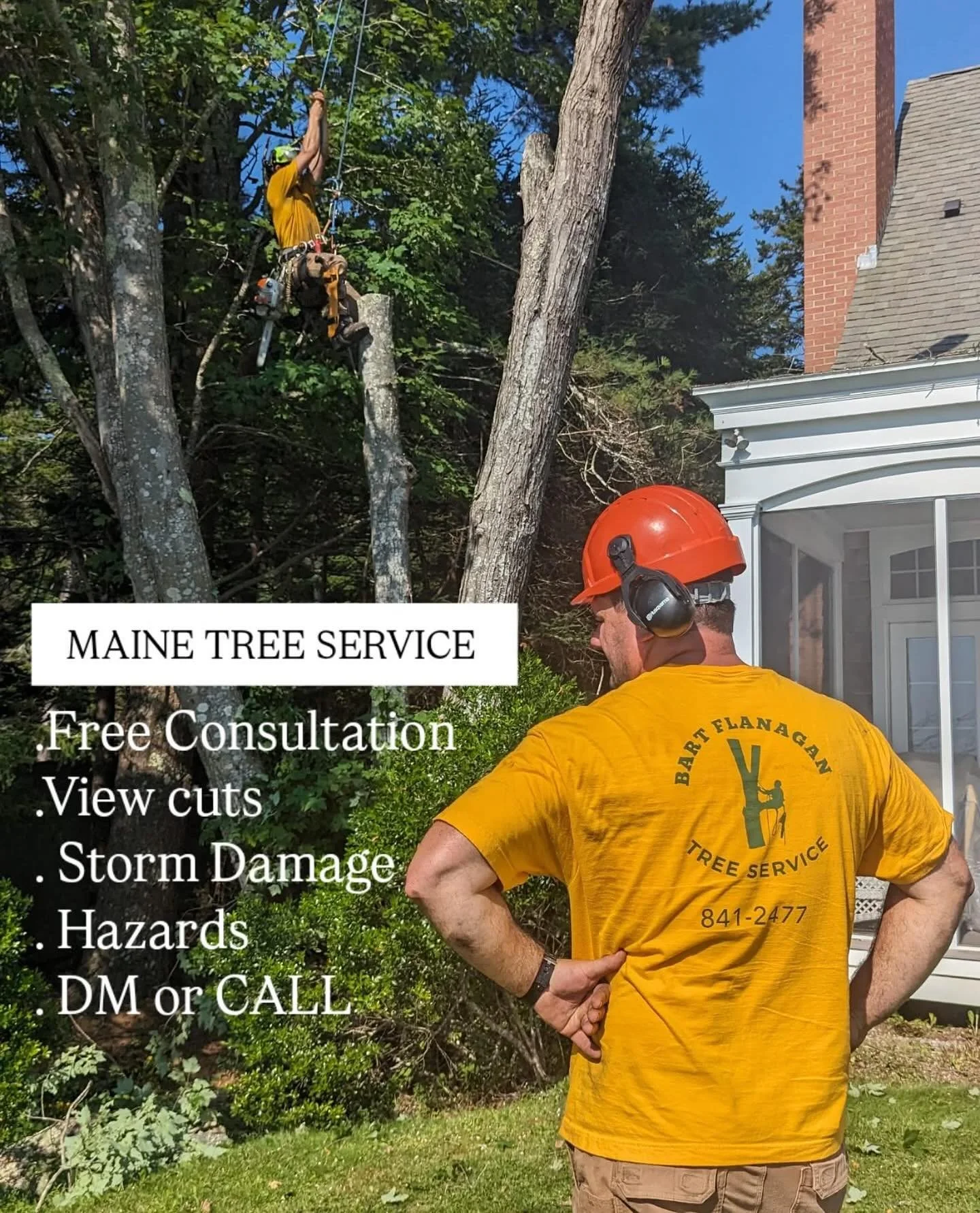 #arboristsofinstagram  #treeremoval #treework