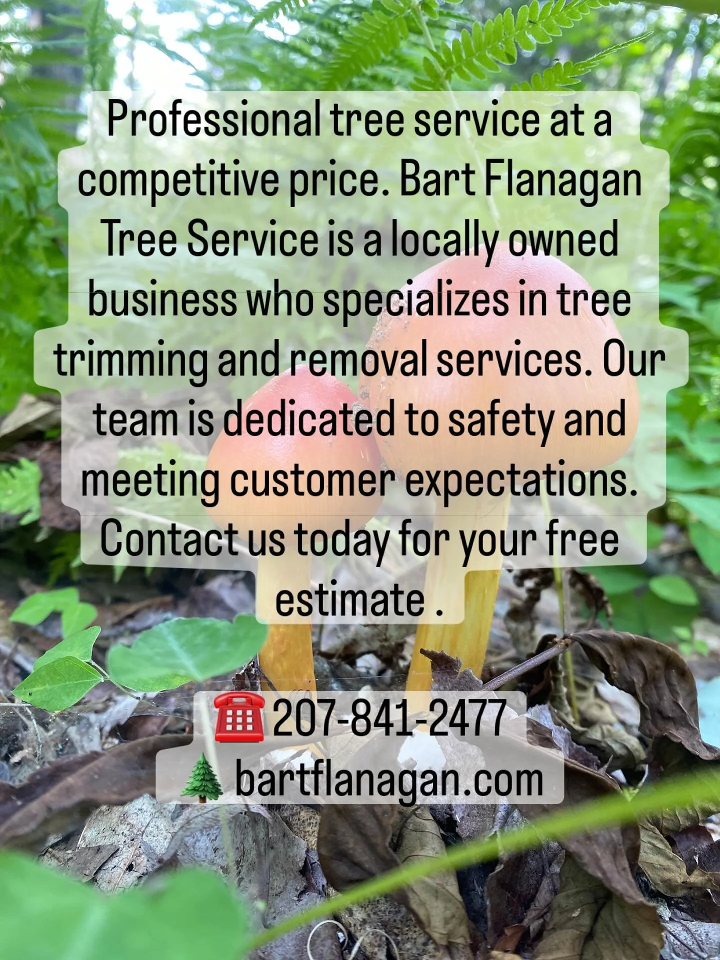 #treepruning #treeremoval #arborist #maine #localbusiness