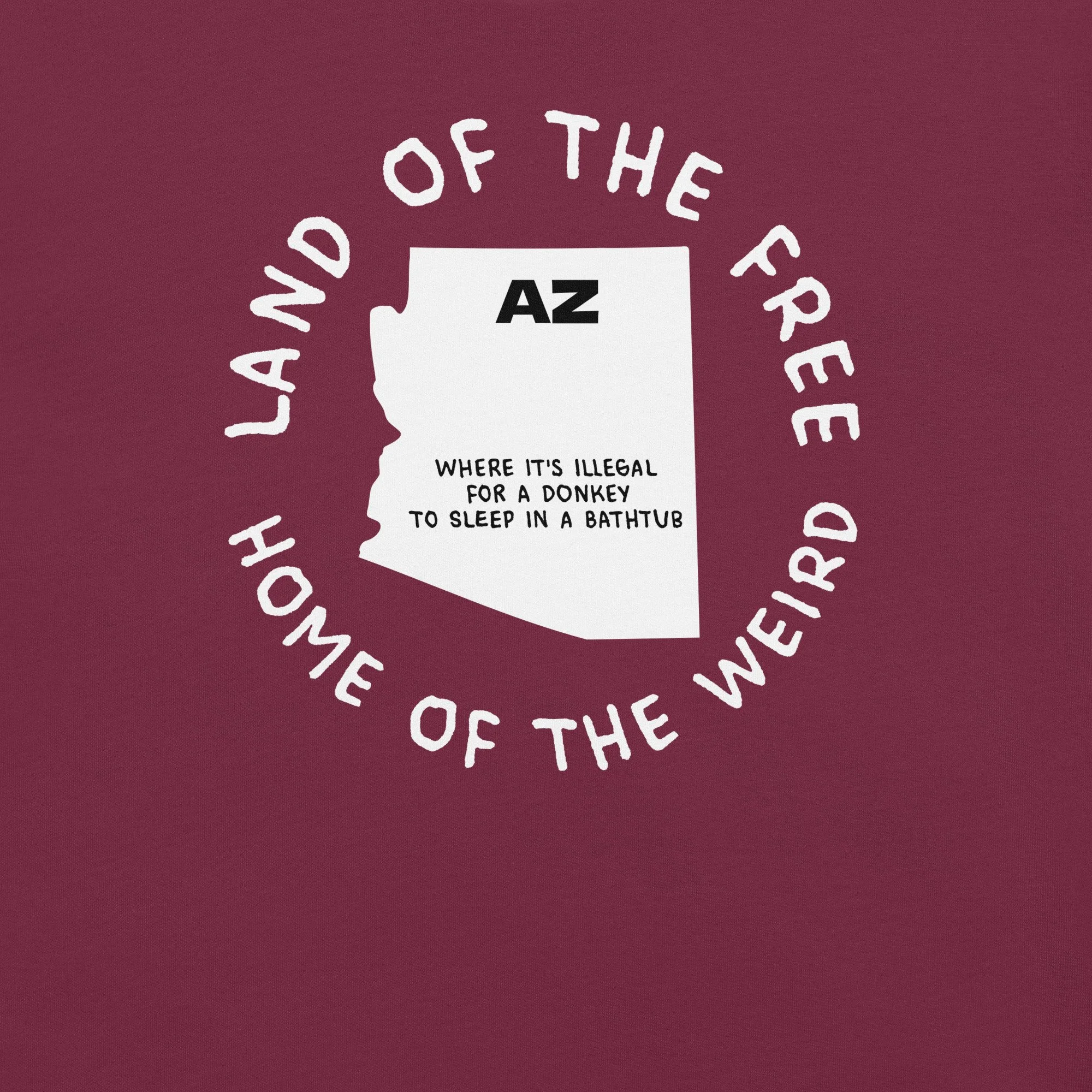 unisex-staple-t-shirt-maroon-front-6826a7ca44120.jpg