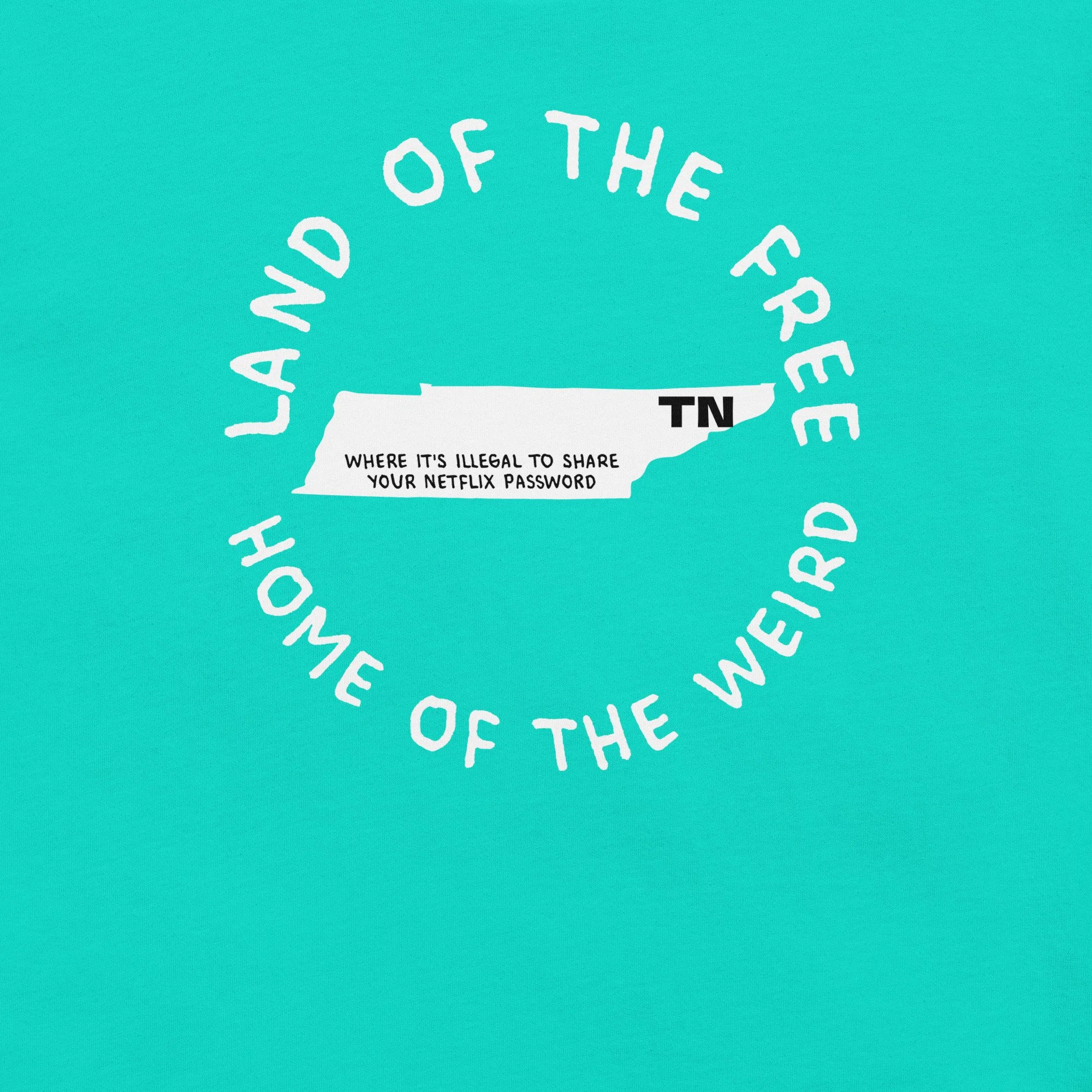 unisex-staple-t-shirt-teal-front-6827945eae30e.jpg