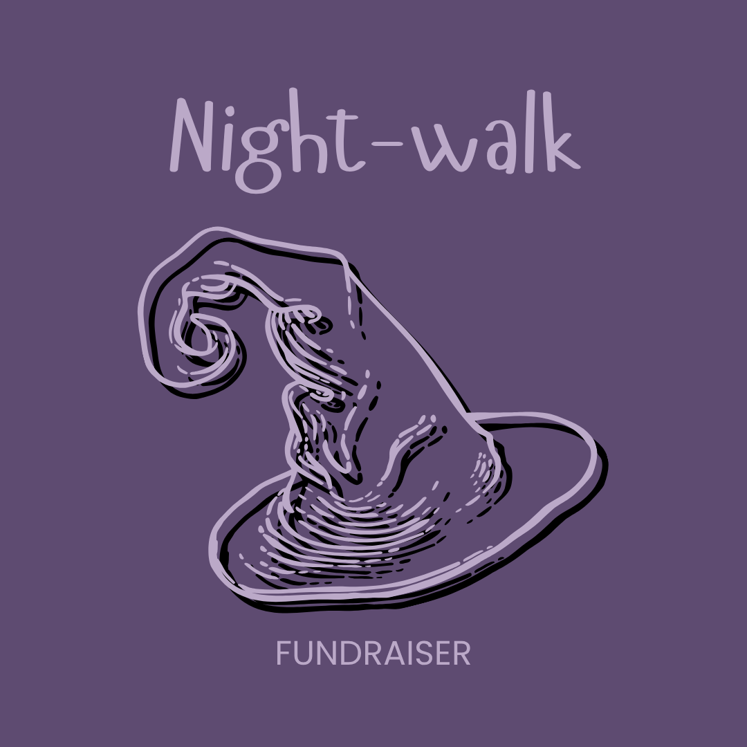 Night Walk Fundraiser
