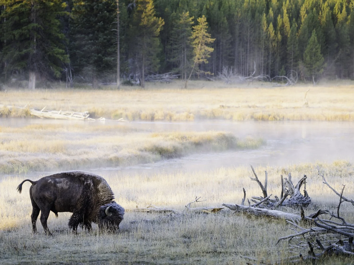 Top 10 National Parks for Wildlife & Nature Photography