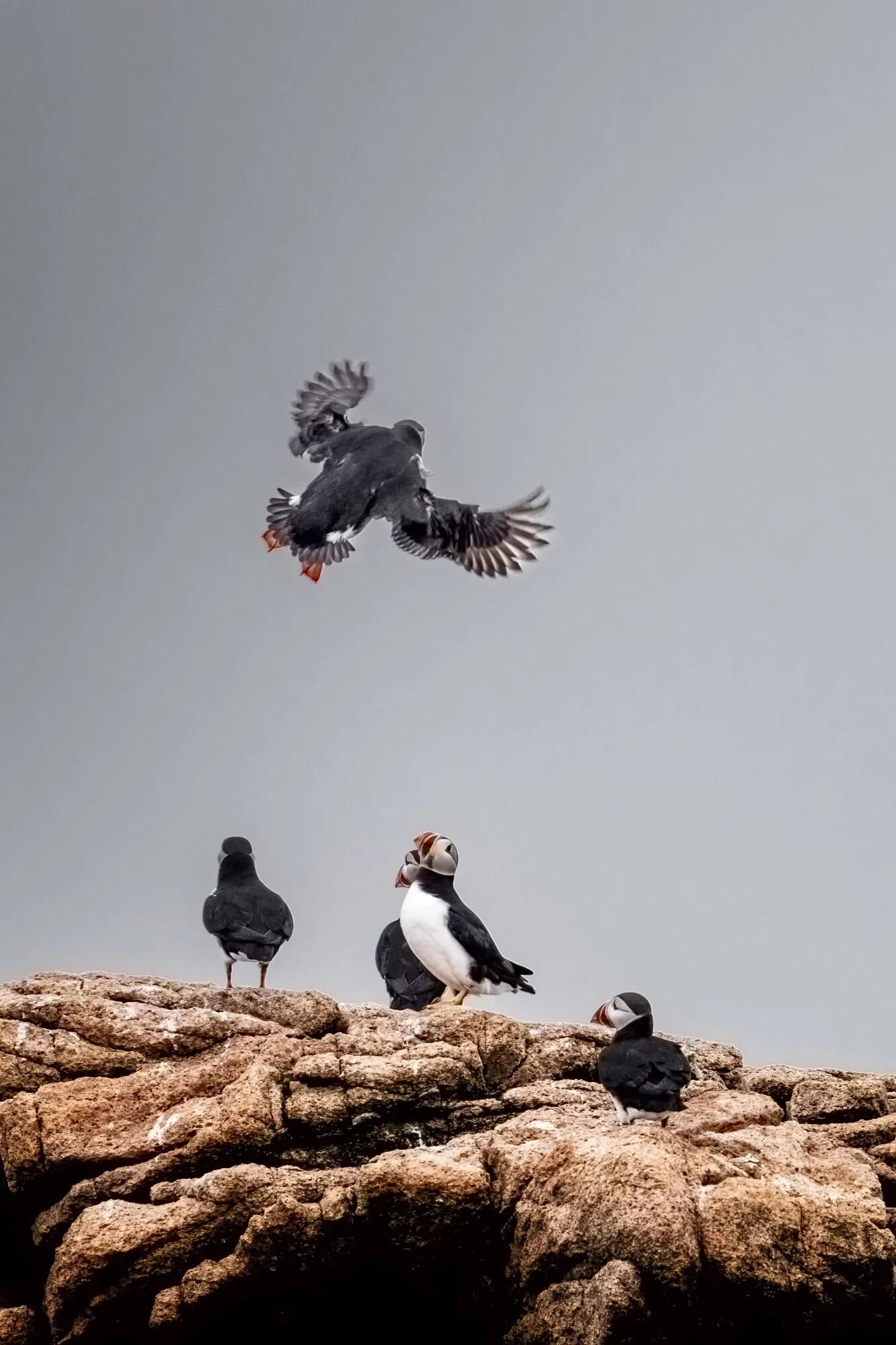 _DSC2092-Edit.webp