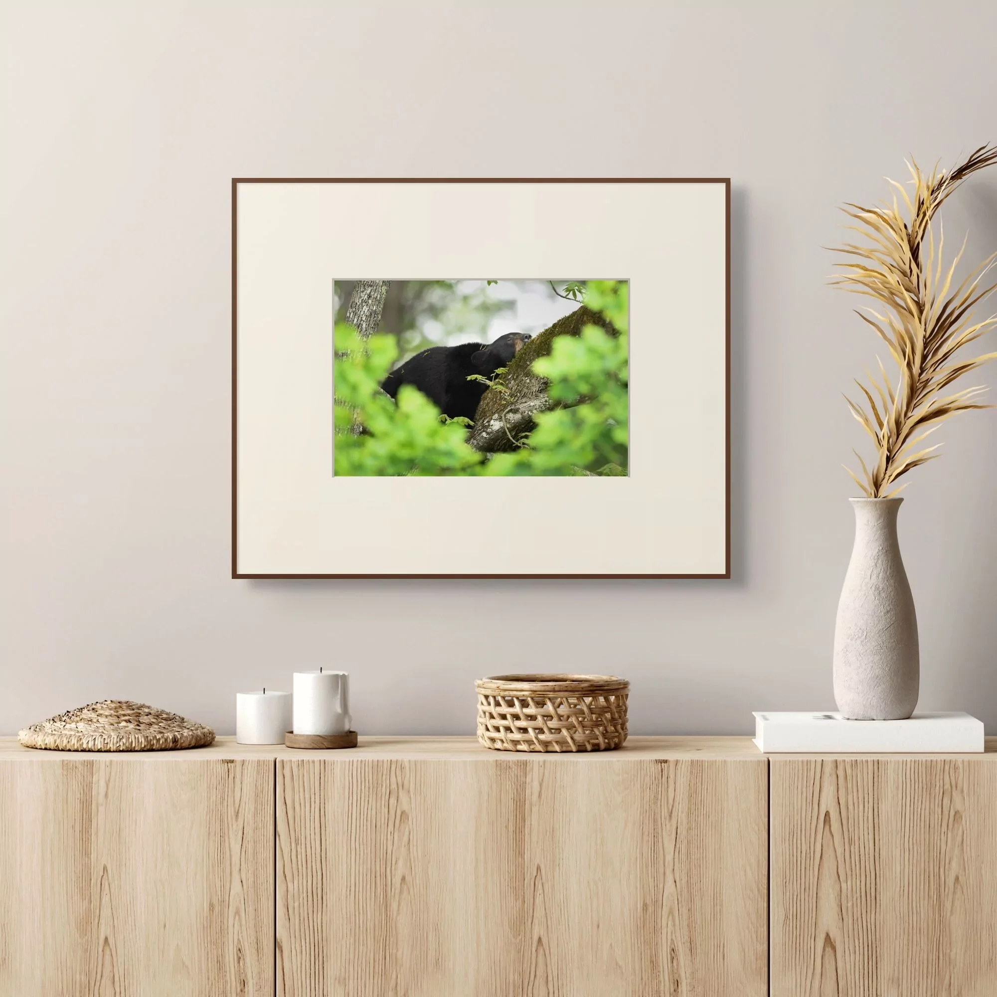 Resting Above the Forest | Dave Miller - Images of Natural Splendor