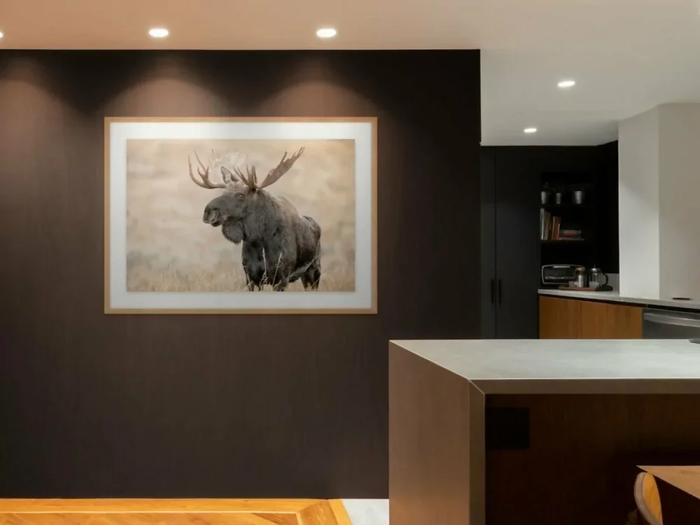 Monarch of the Tetons – Bull Moose, Grand Teton | Dave Miller - Images of Natural Splendor