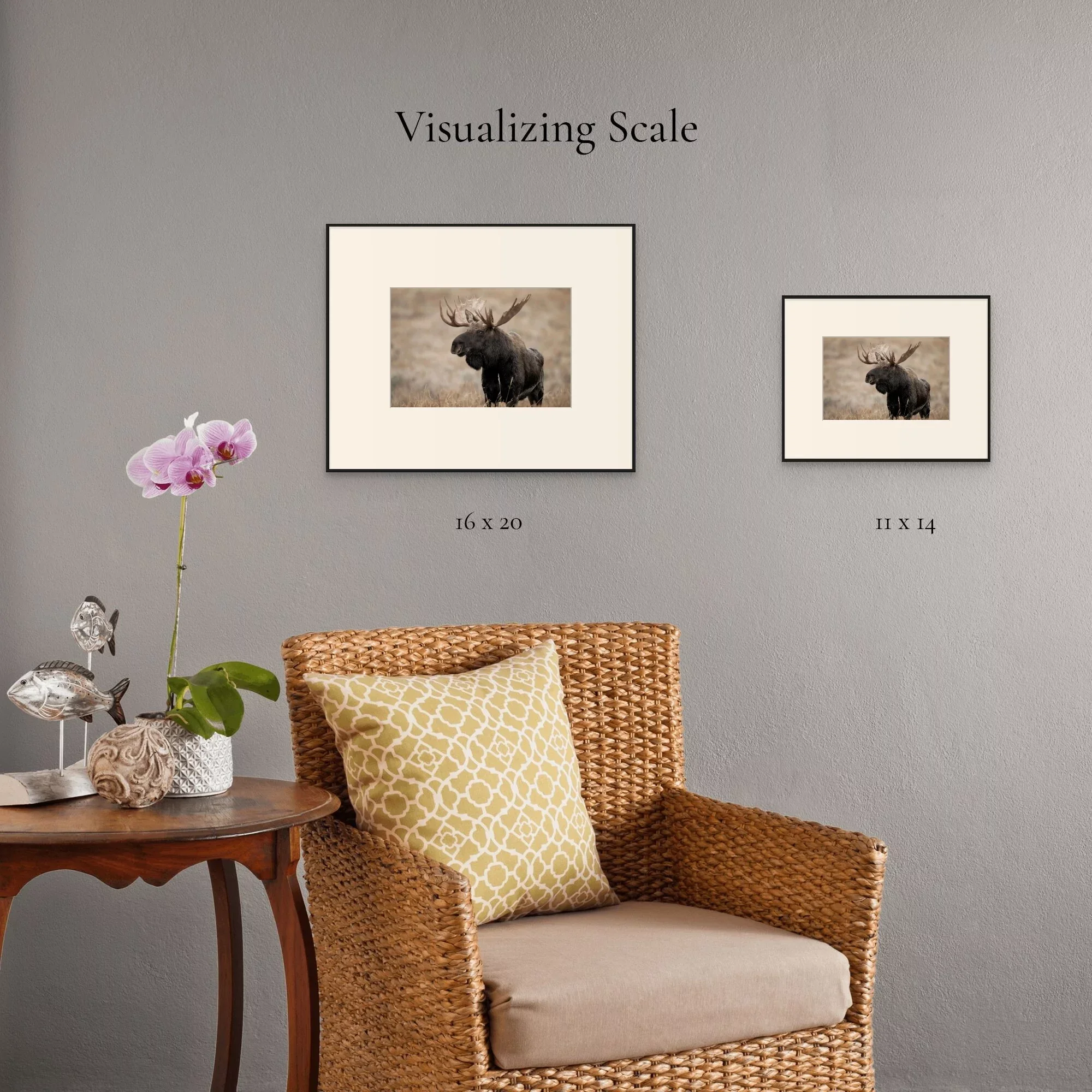 Valley King | Dave Miller - Images of Natural Splendor