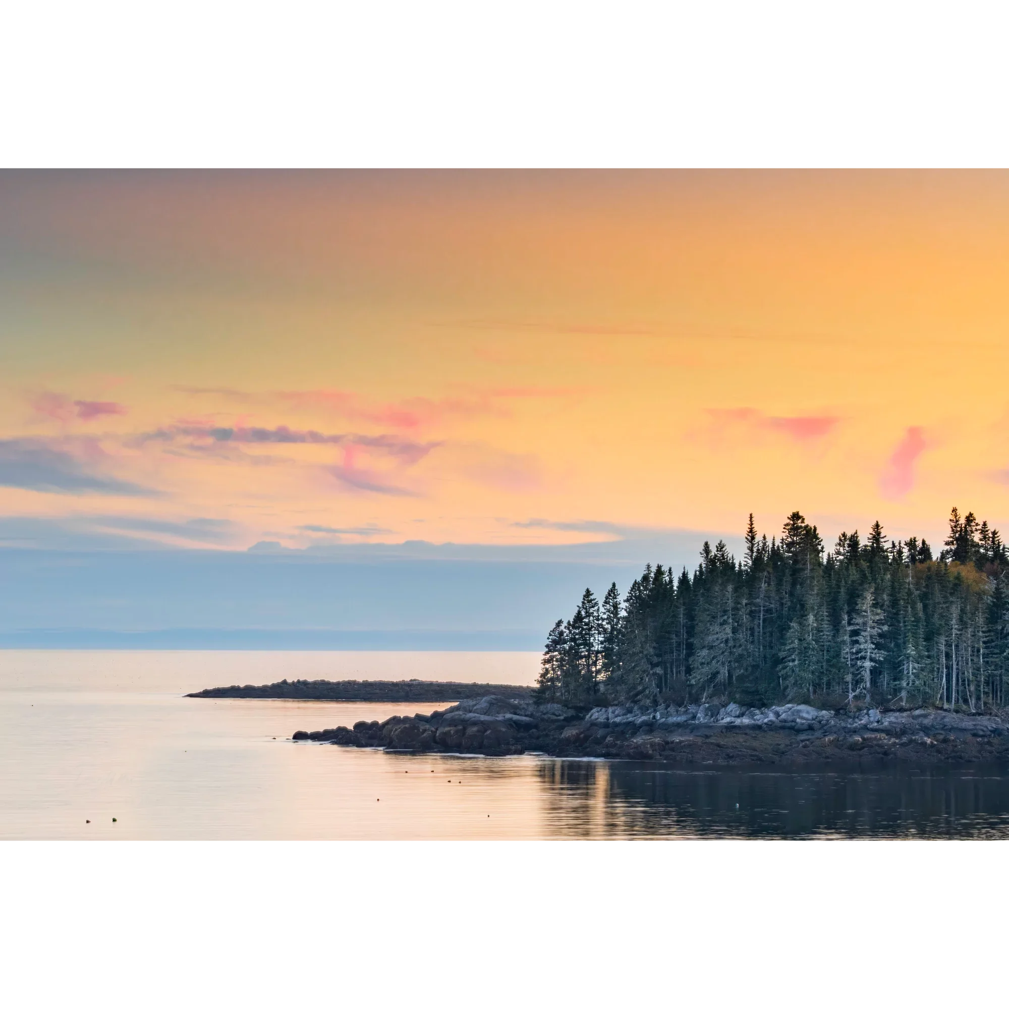 Quiet-harbor-coastal-maine-seascape-DaveMiller.webp