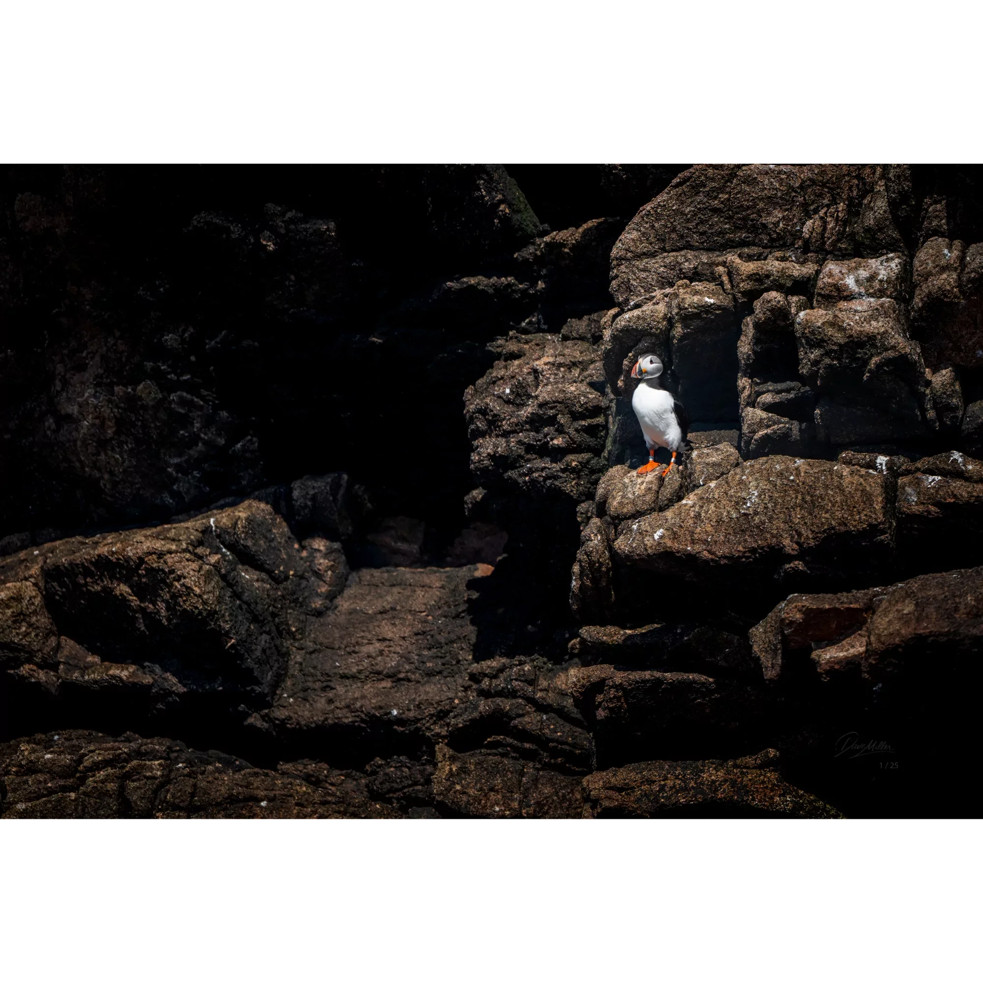 Keeper of the Cliffs