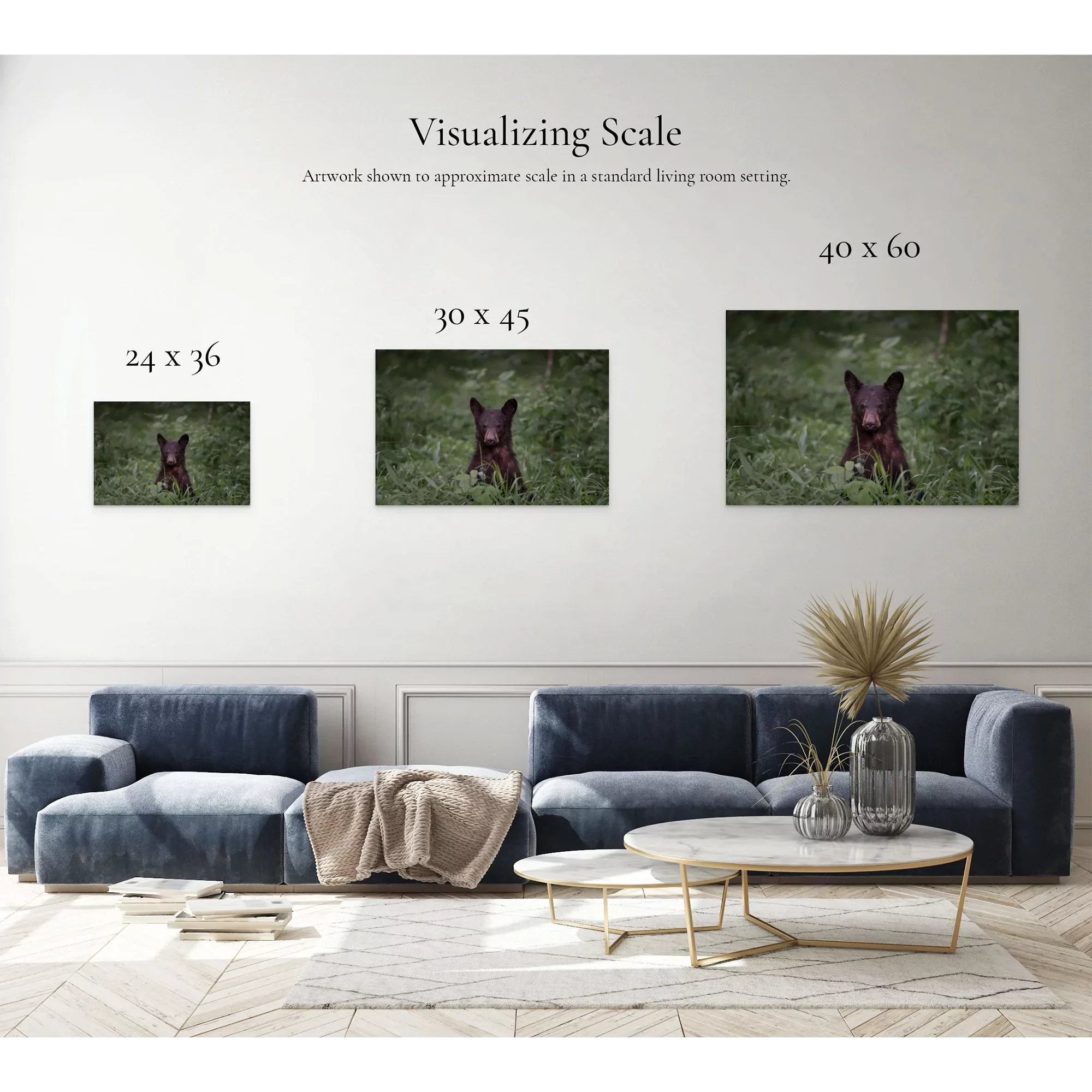 Emerging | Dave Miller - Images of Natural Splendor